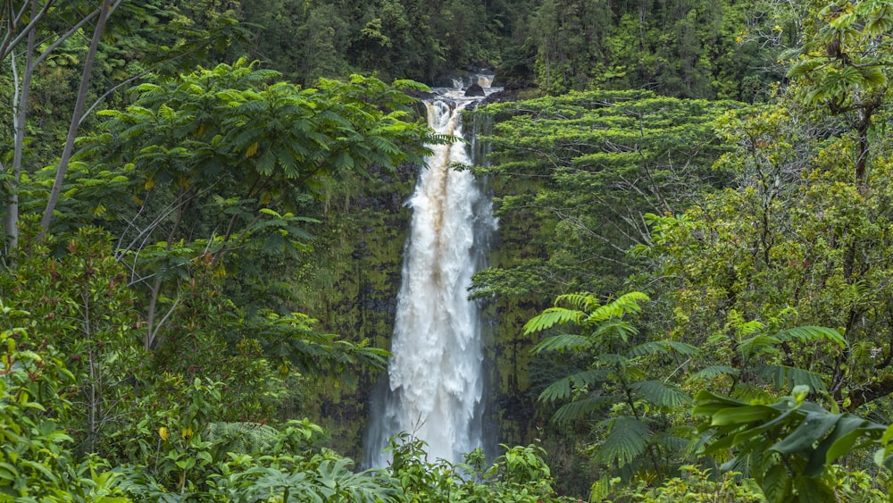 a large waterfall in the middle of a forest