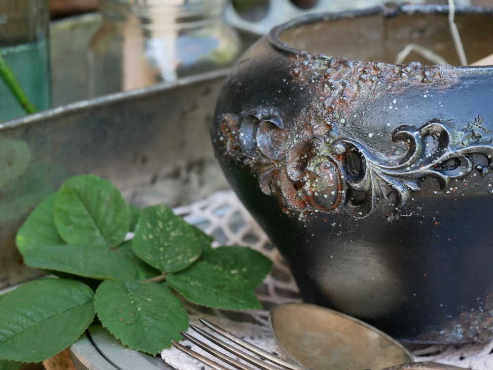 a black vase sitting on top of a table next to a green plant