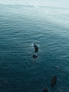 The image features a vast expanse of ocean water, with subtle waves and ripples. Several dark rocks protrude from the surface in the center and lower part of the image.