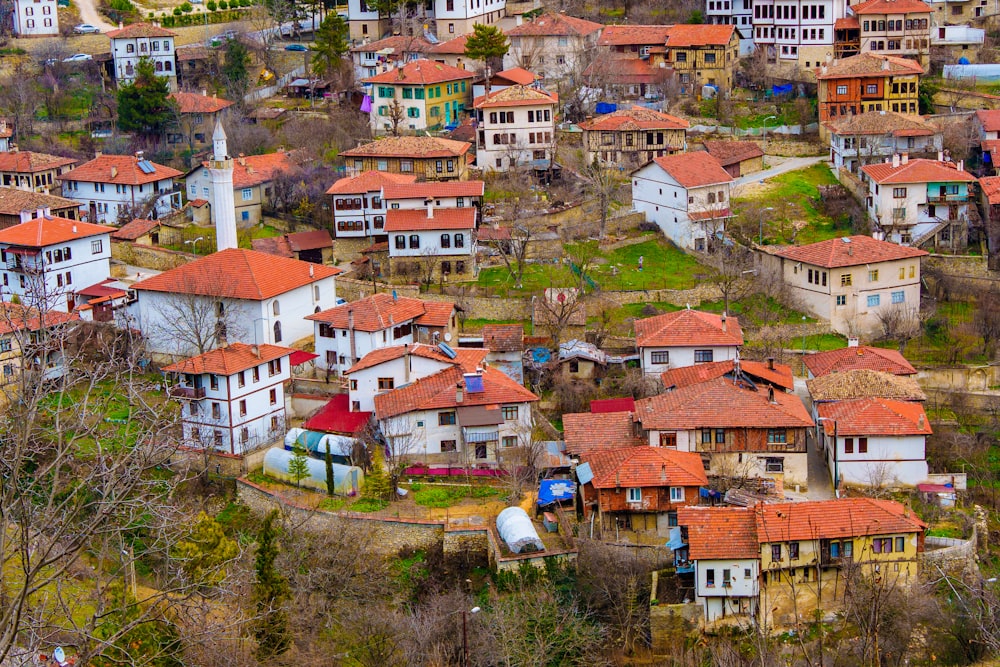 an aerial view of a village with many houses