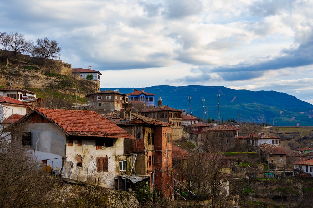 a village with a mountain in the background