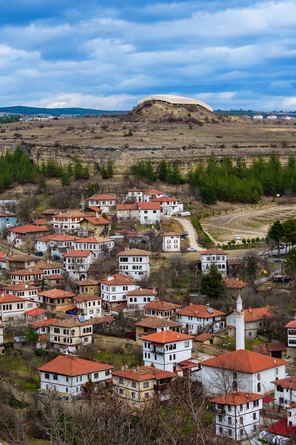 a view of a small town with a hill in the background