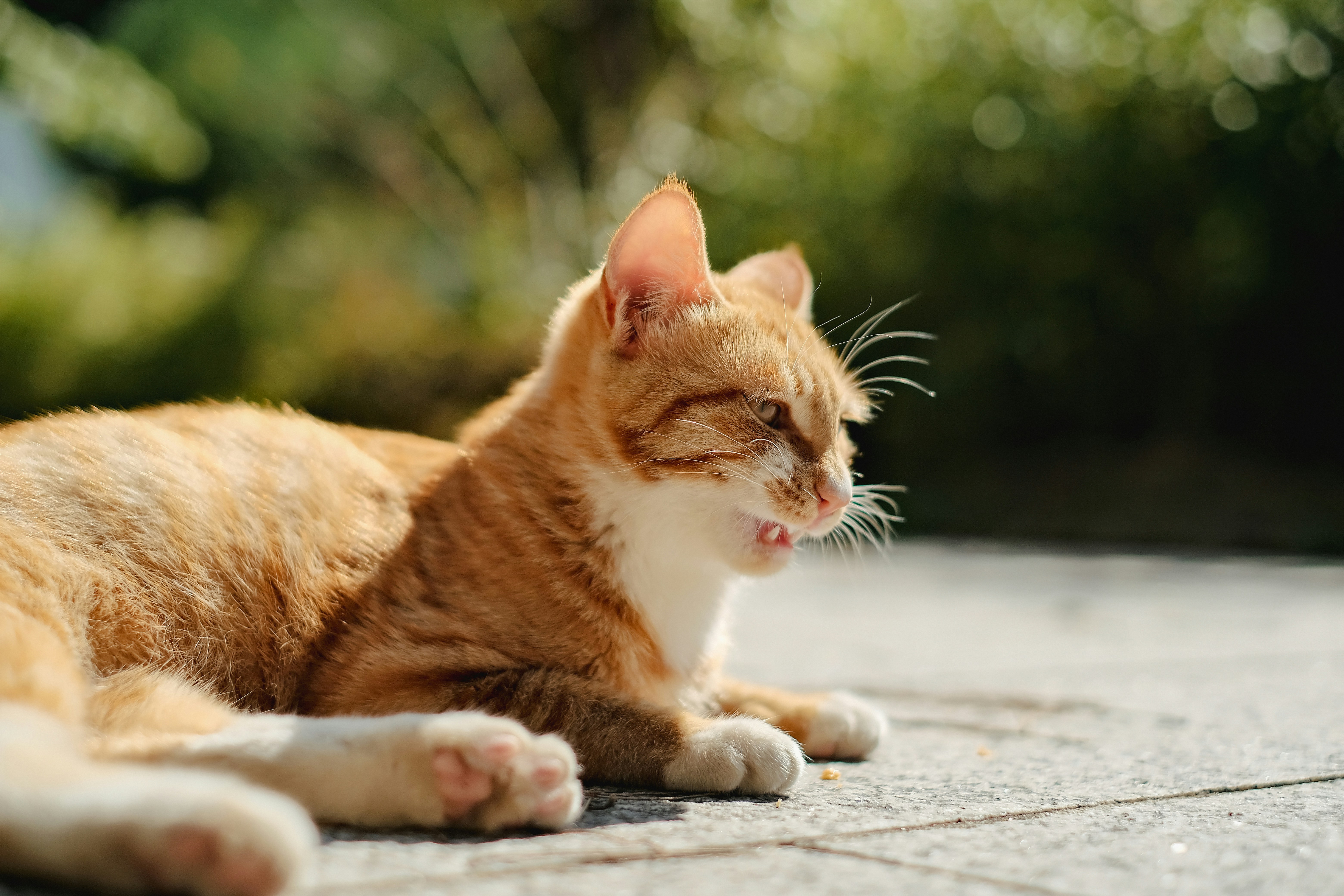 Photo by the1stcircle