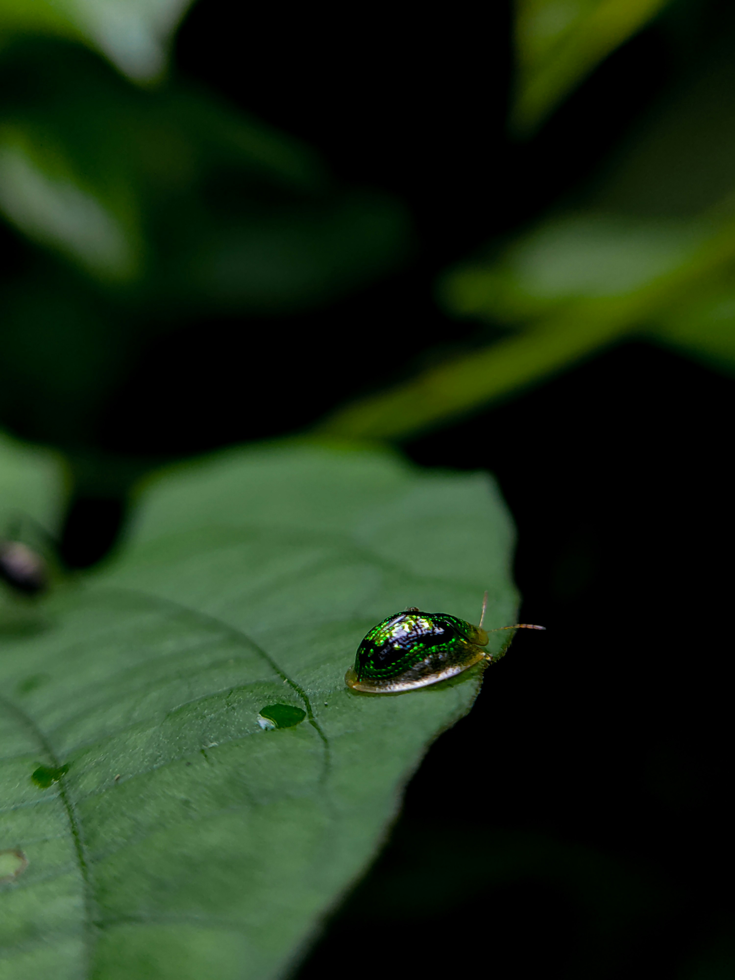 Photo by abhinandbijeesh