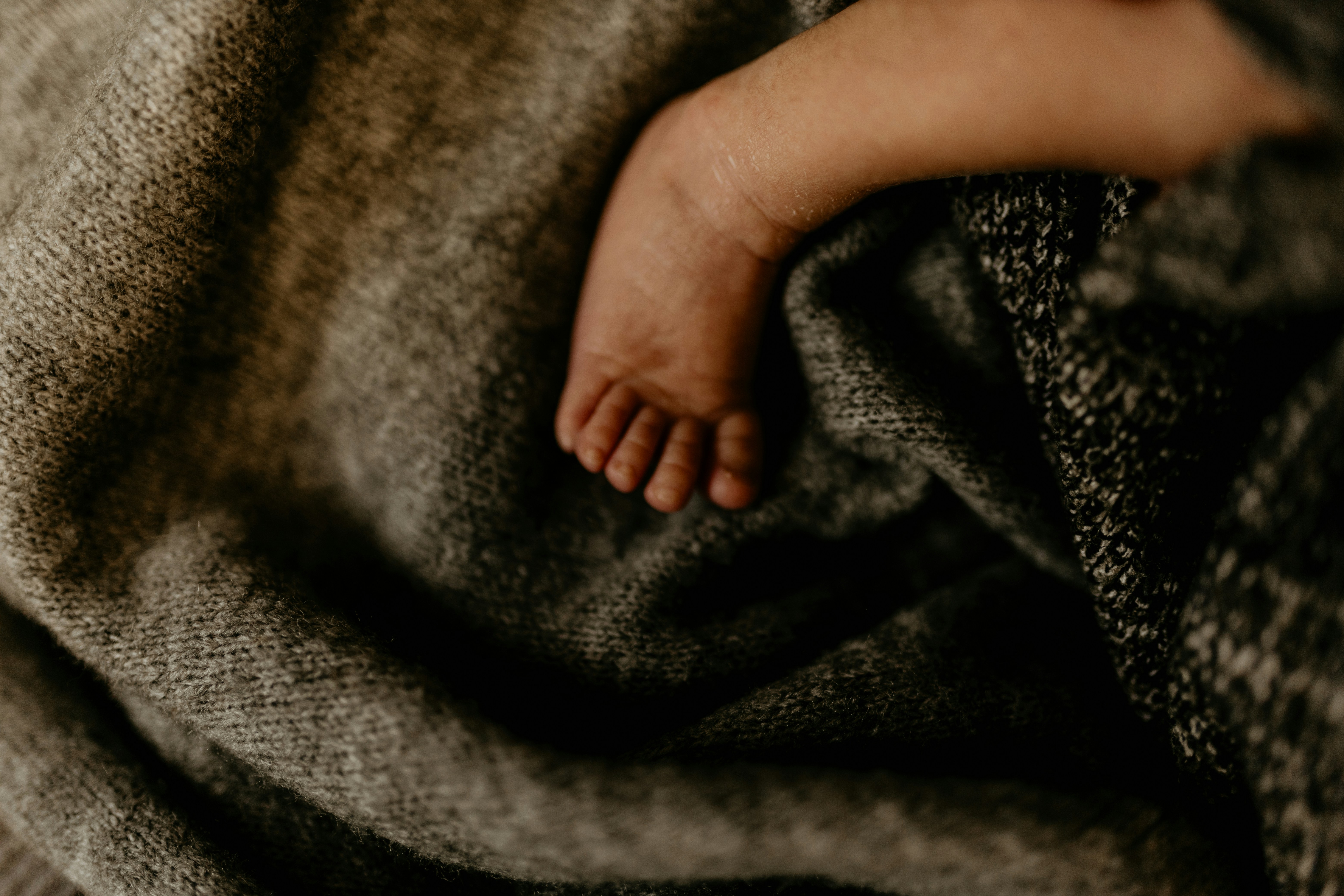 Photo by tamaragovedarov