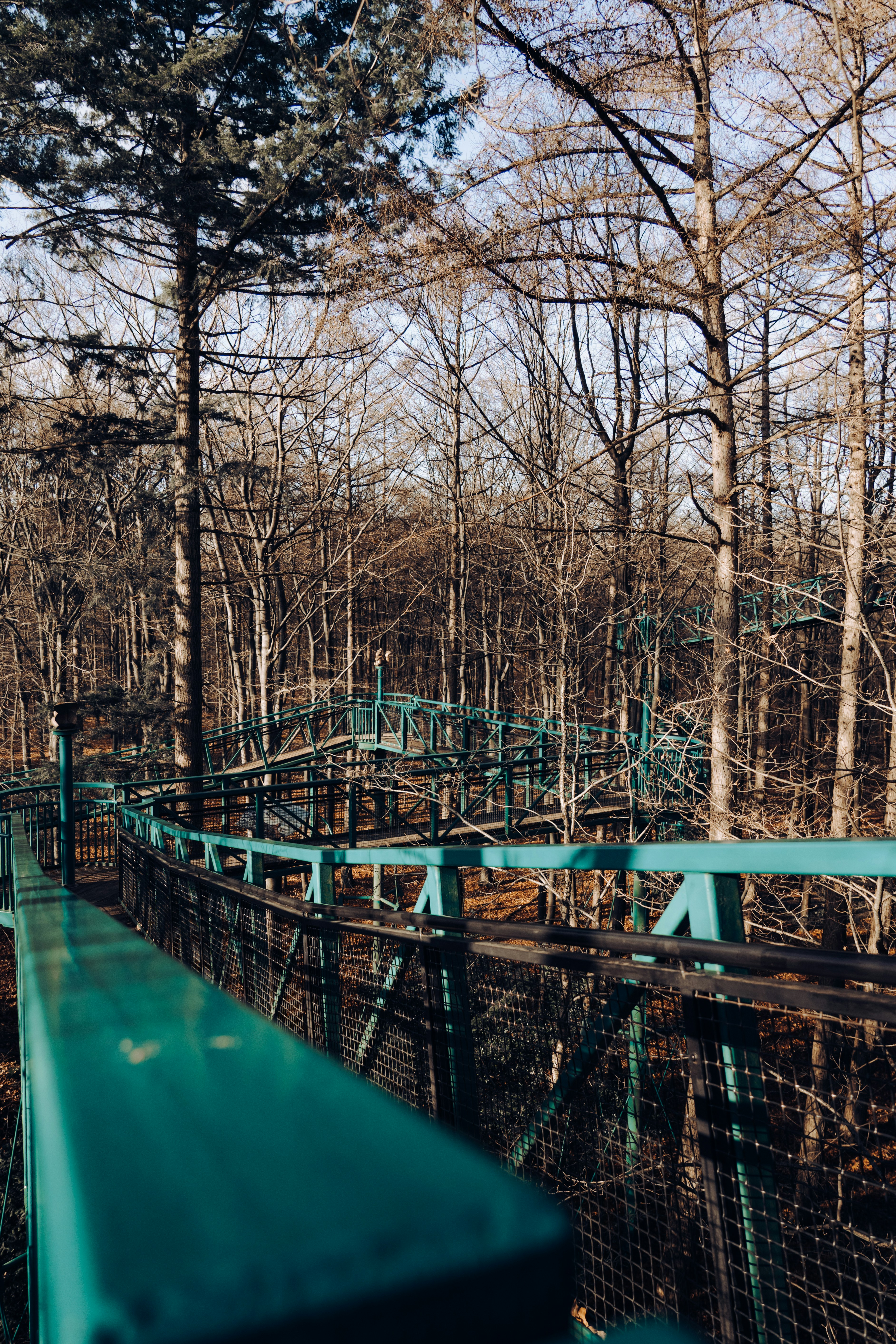 a metal bridge in the middle of a forest