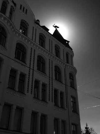 Close-up of the stylized paw print showing windows and chimneys integrated into the pads, evoking a warm, small-town feel.