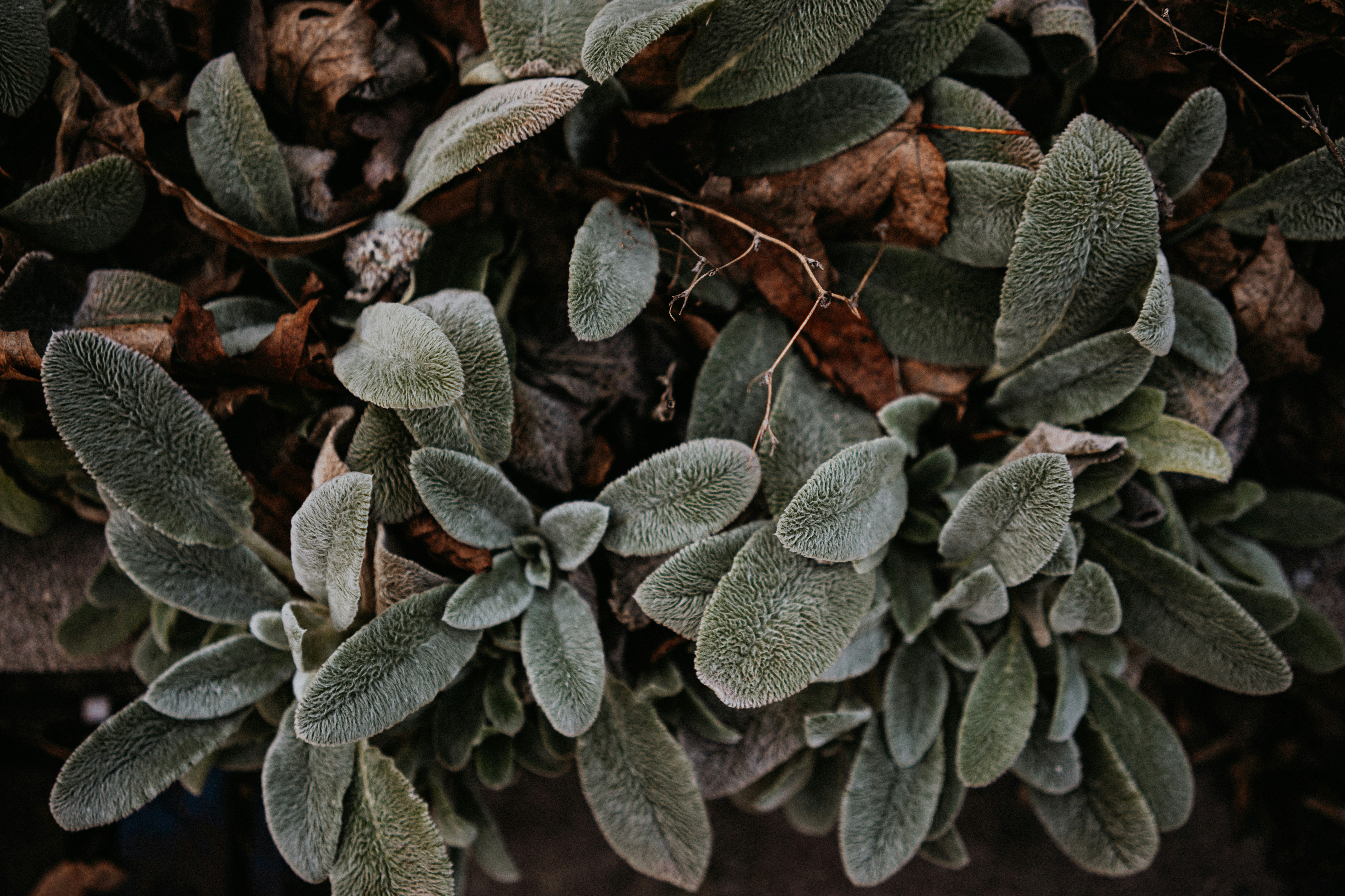 Photo by marinareich