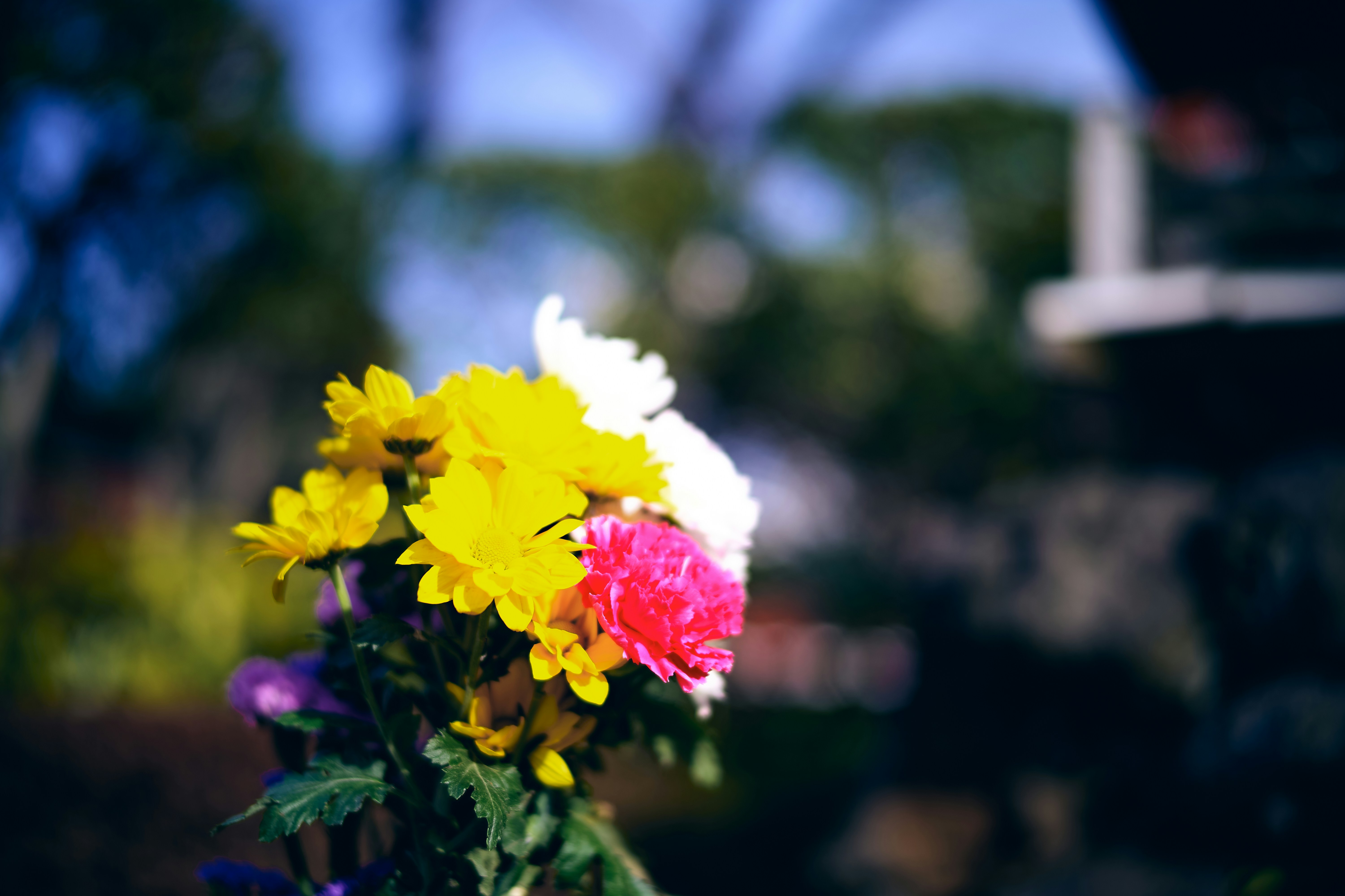 a bunch of flowers that are in a vase