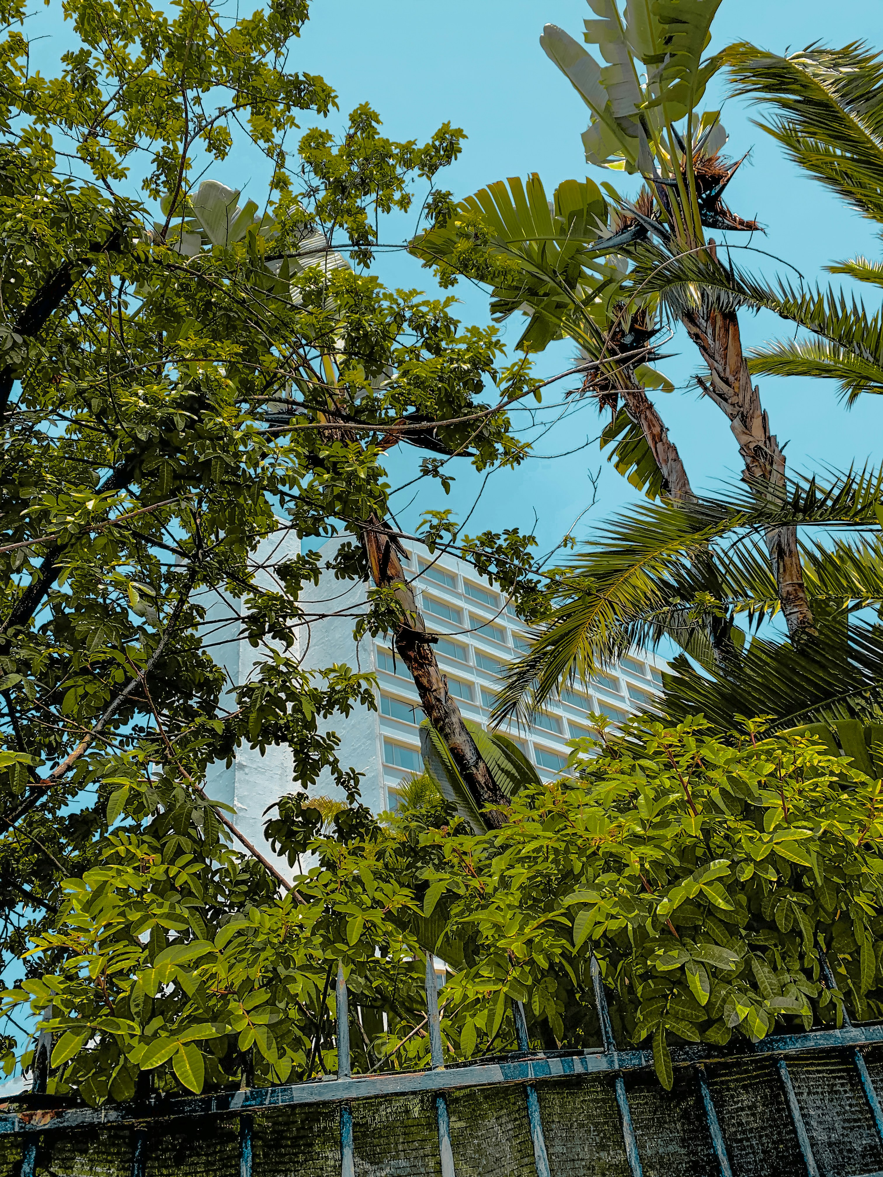 Photo by iliaselkyaki