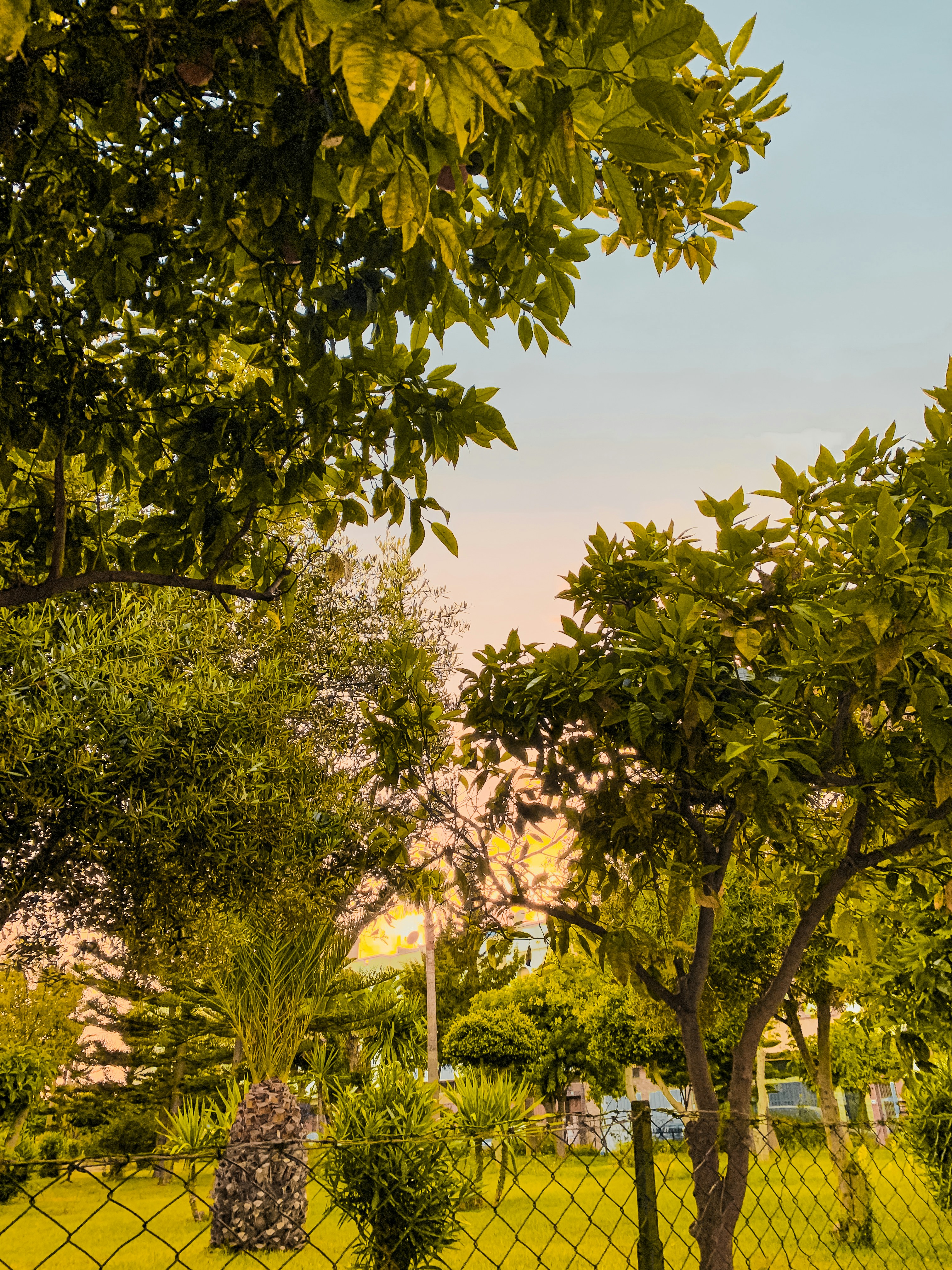 Casablanca travel photo