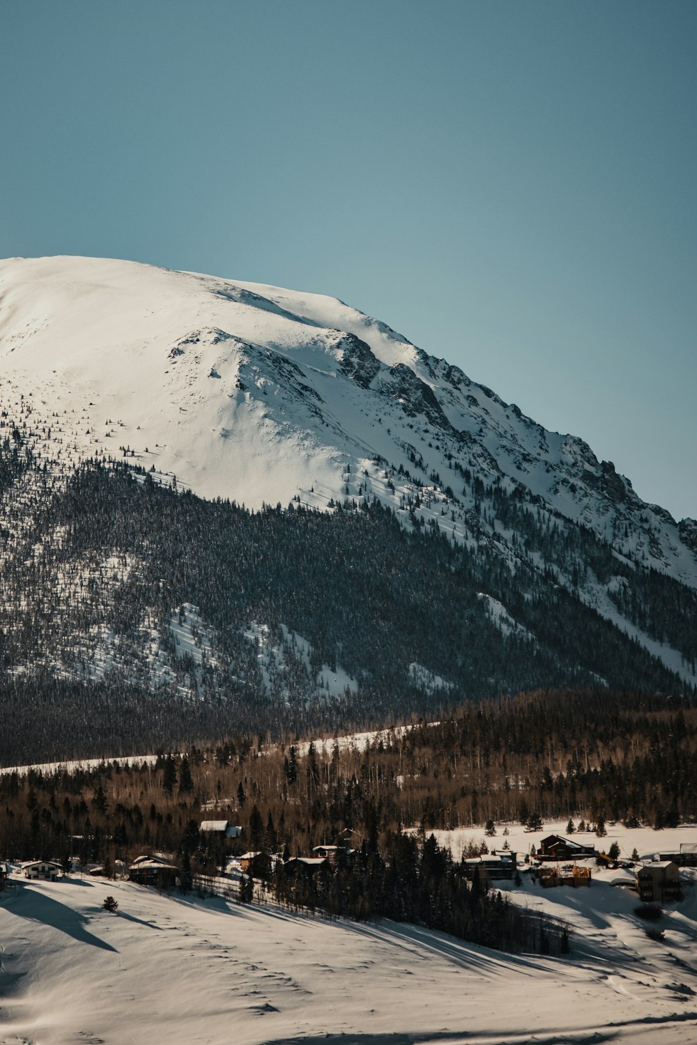 a mountain covered in snow with trees on the side