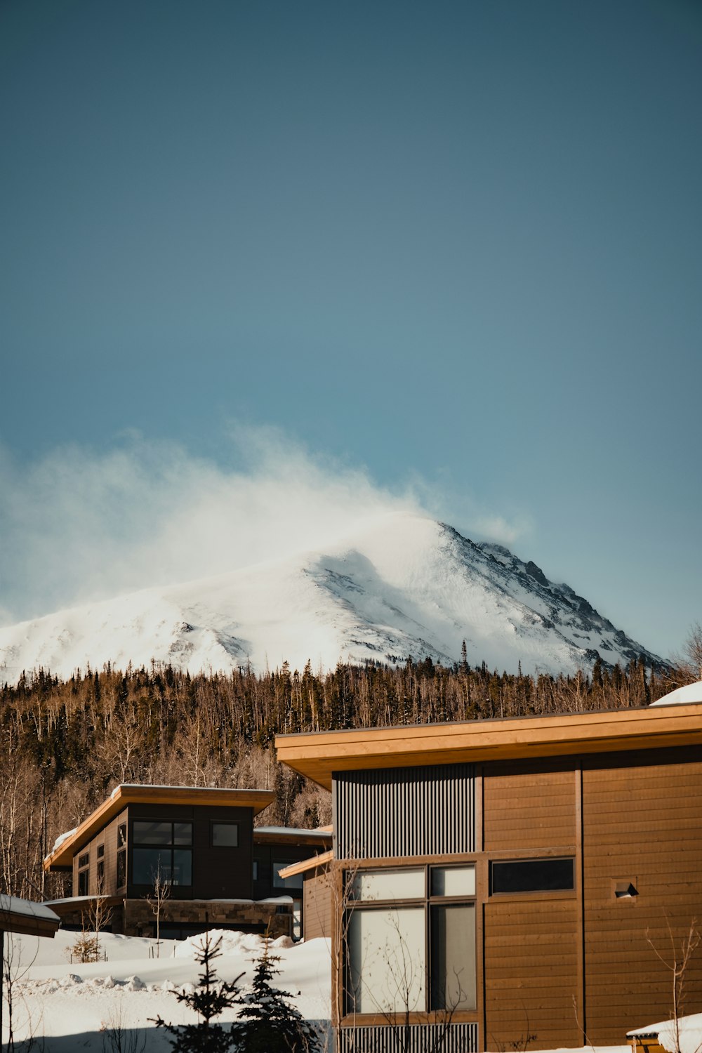 a snow covered mountain in the distance with a house in the foreground