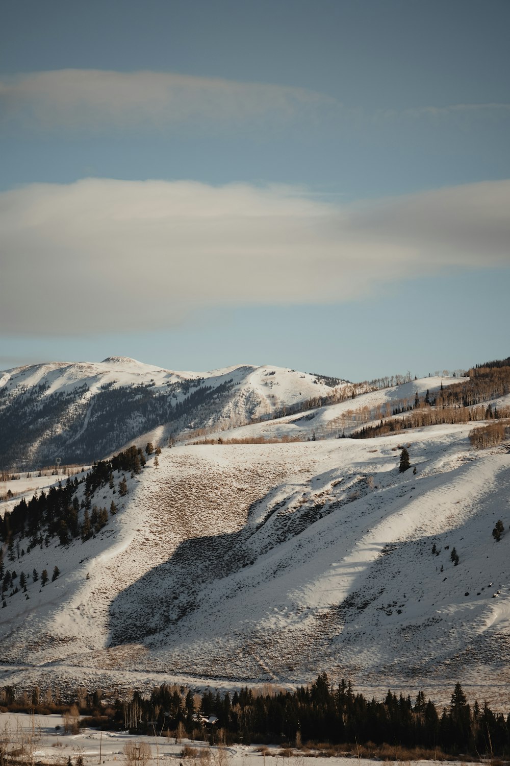 a snowy landscape with mountains in the background