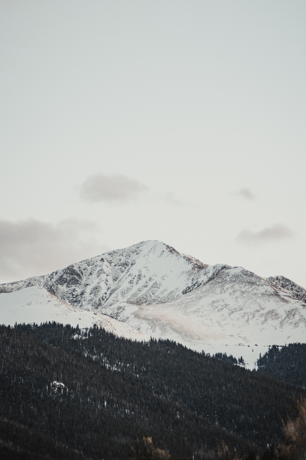 a snow covered mountain with trees on the side