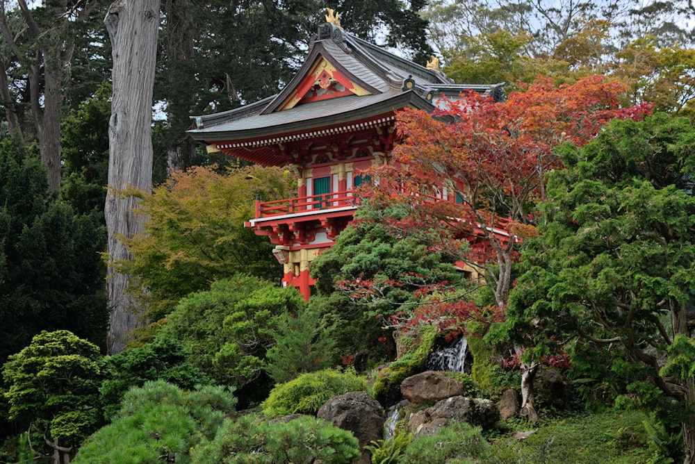 a pagoda in the middle of a forest