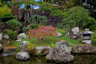 a small pond surrounded by rocks and plants