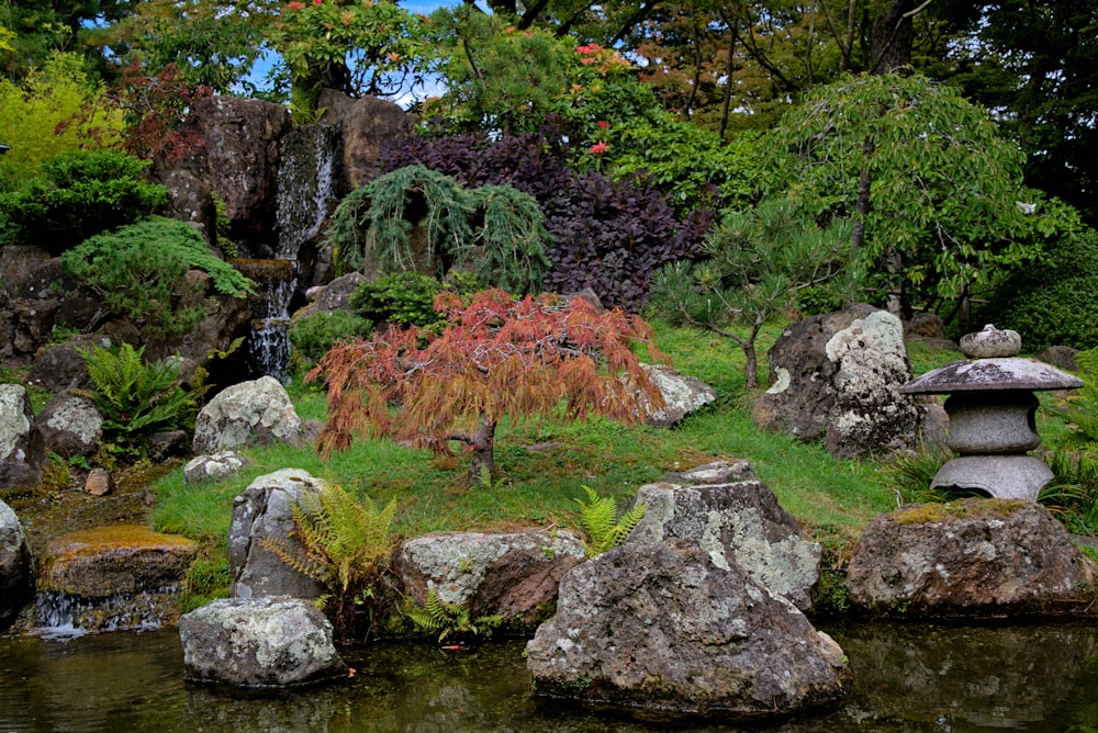 um pequeno lago cercado por rochas e plantas