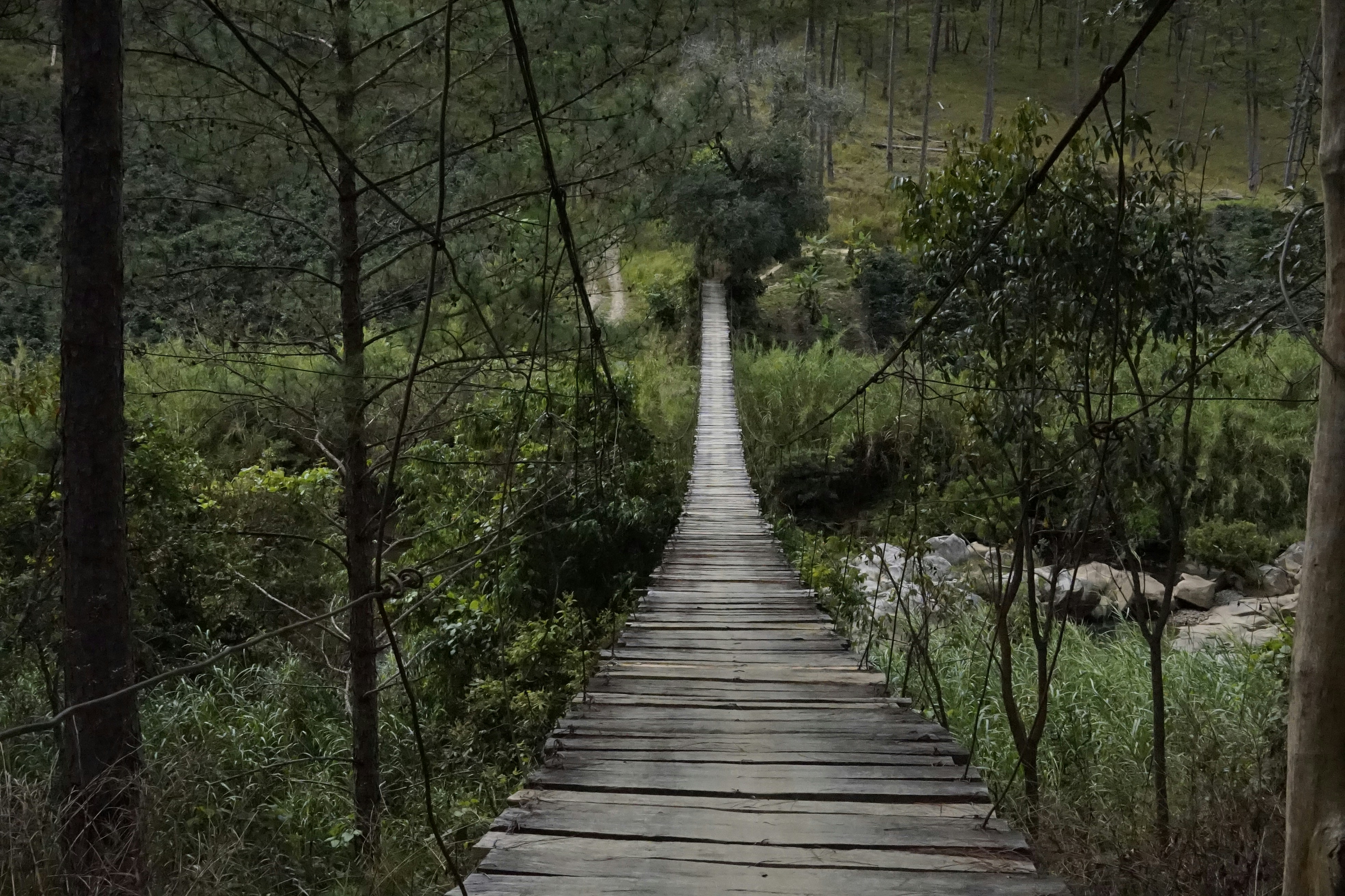 Photo by pandachamlo