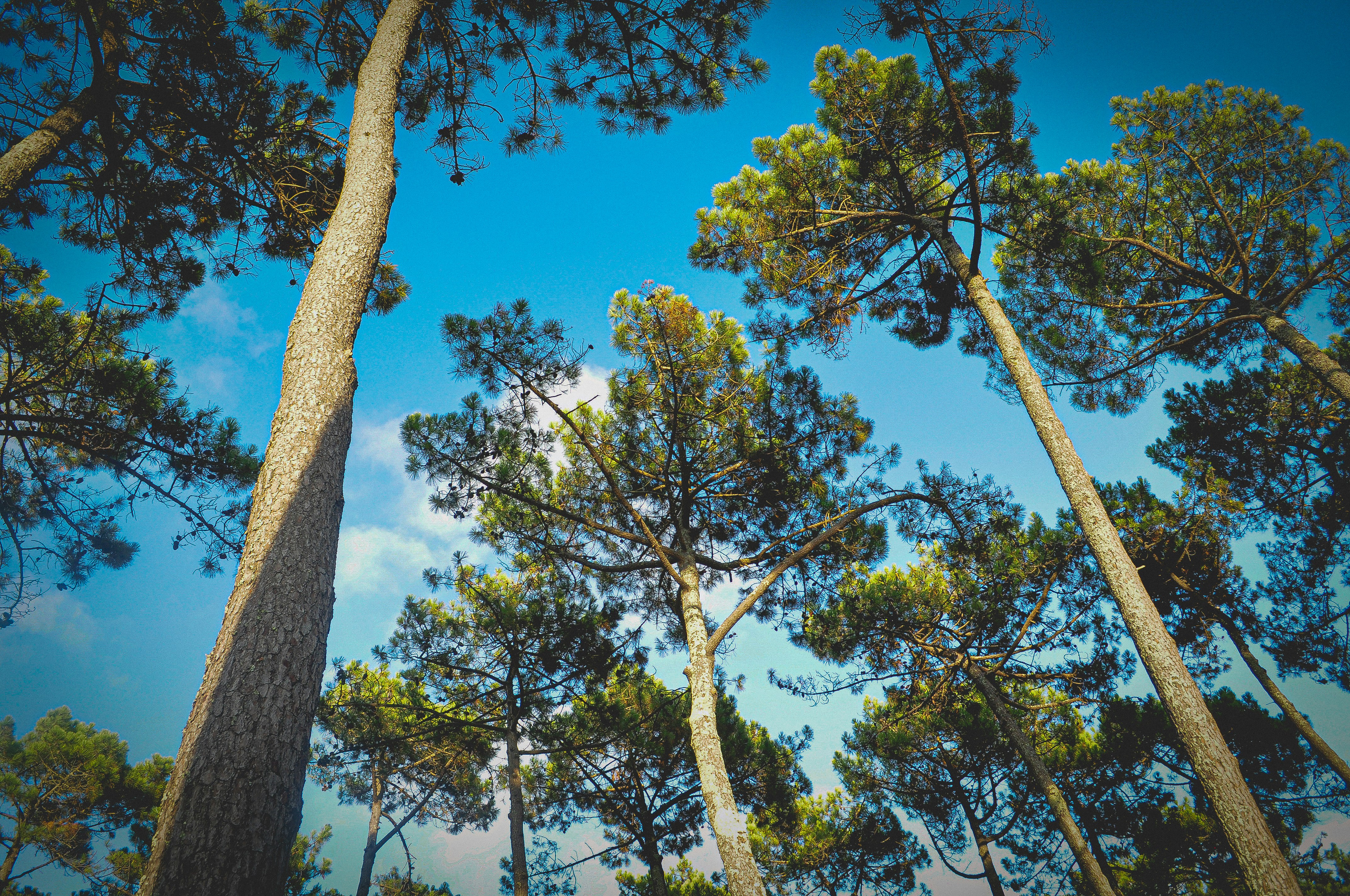 Photo by elishalvarez16