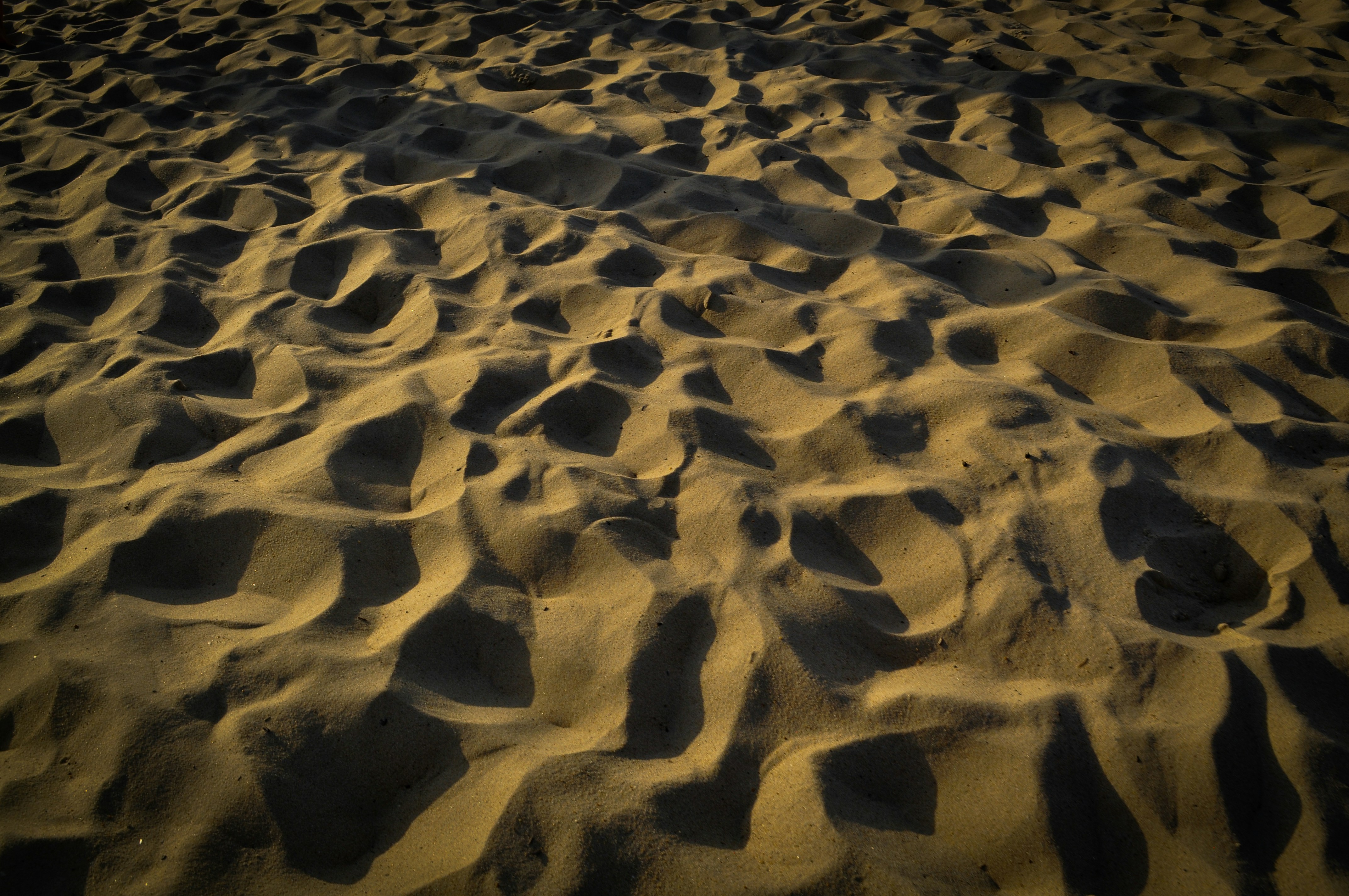 Photo by elishalvarez16