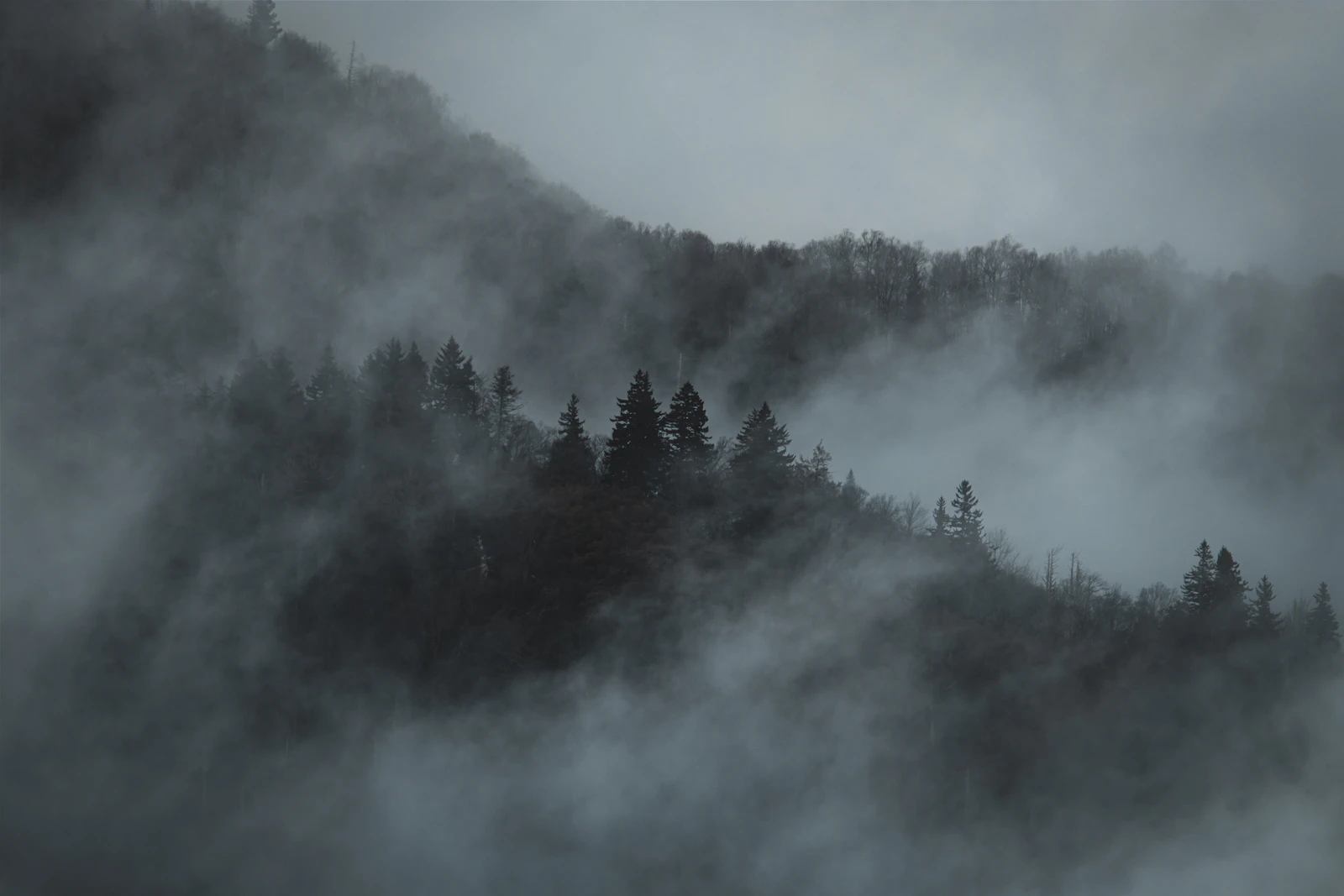 霧氣漫過山頭與樹林（示意圖）