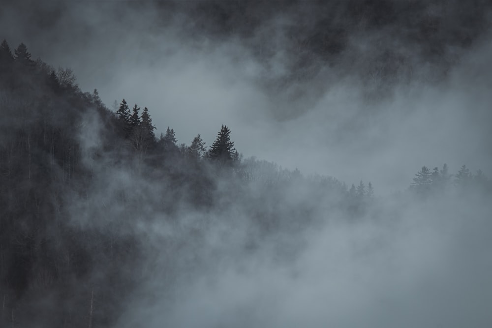 a mountain covered in fog with trees in the background