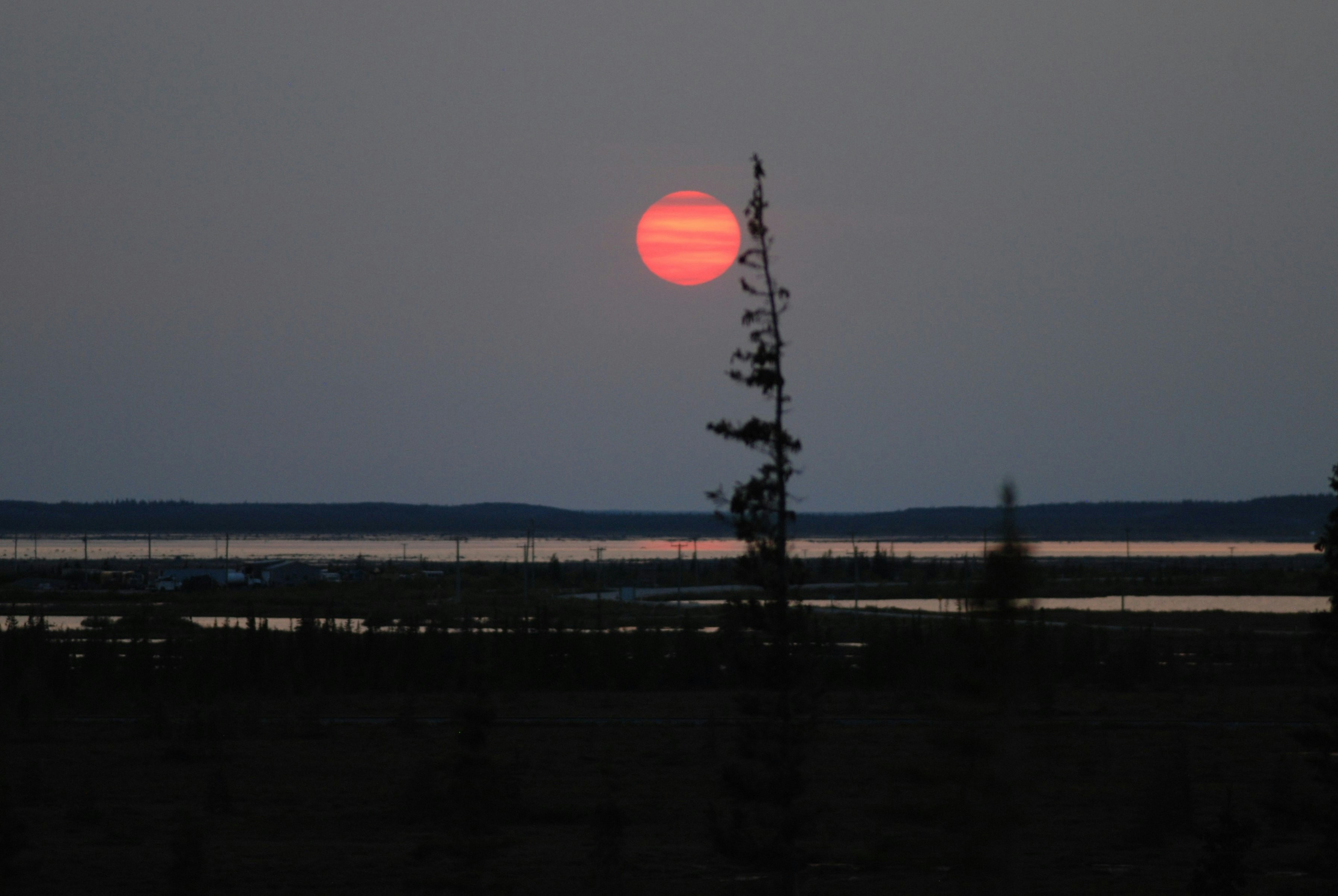 Churchill’s Choice