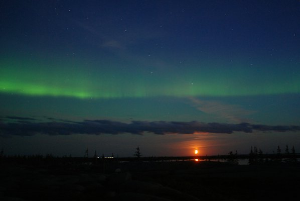 The aurora over the tundra at dusk — Churchill, Canada