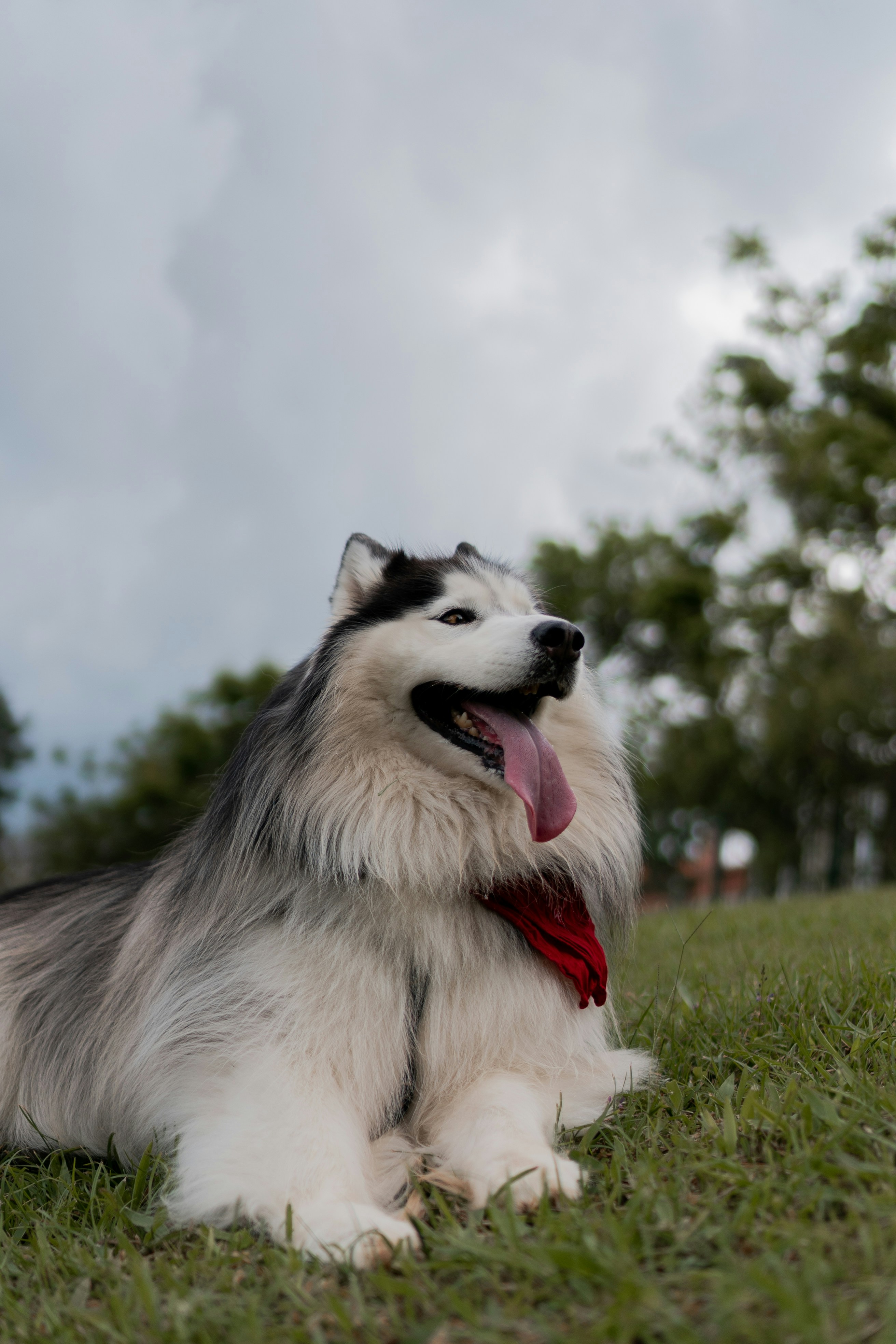Photo by wolfart32