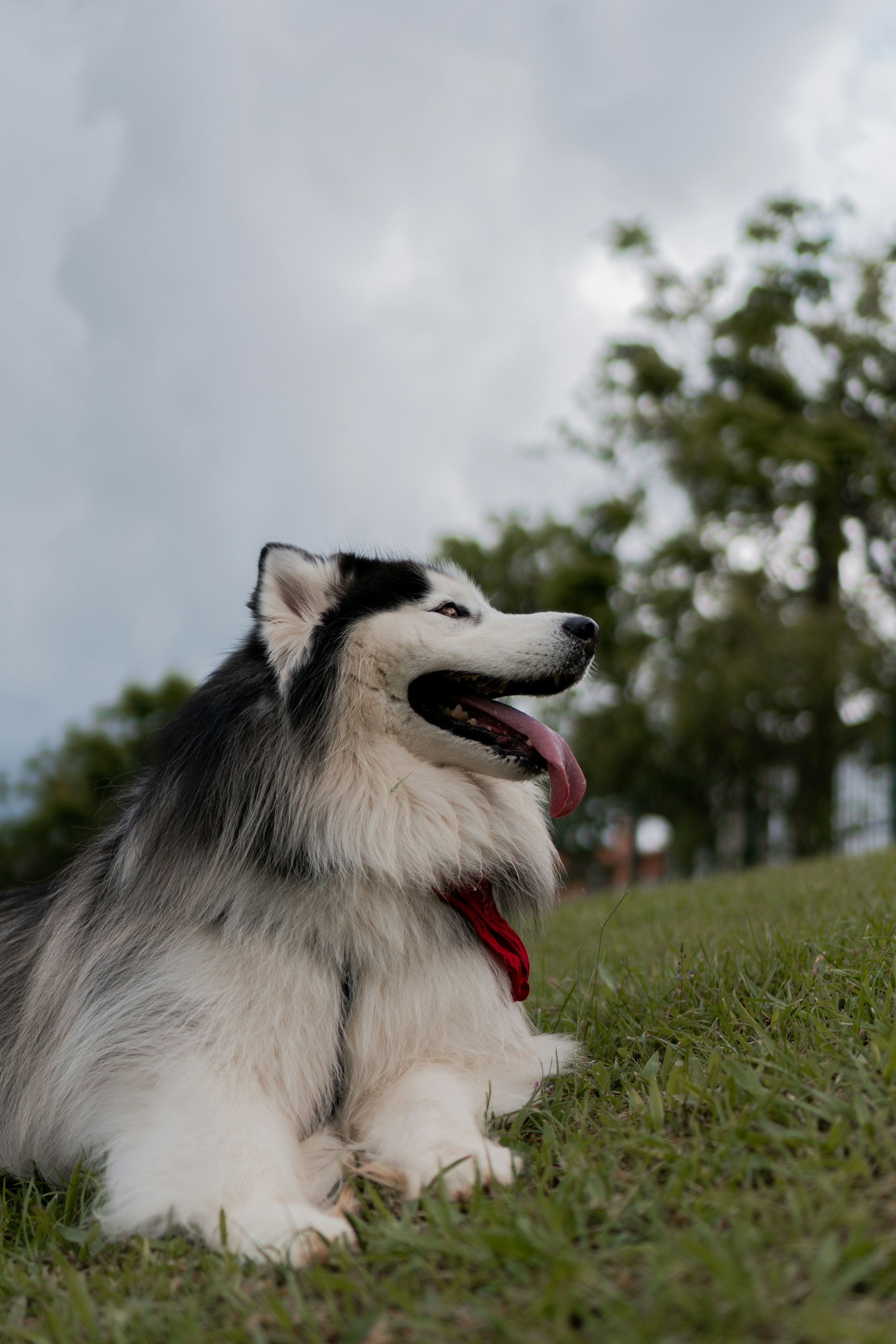 Photo by wolfart32