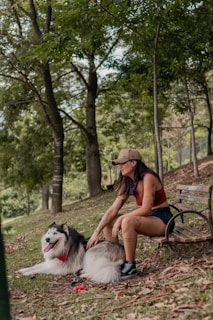 A calm veteran sitting on a park bench with a loyal assistance dog resting beside them, both sharing a quiet moment of companionship.