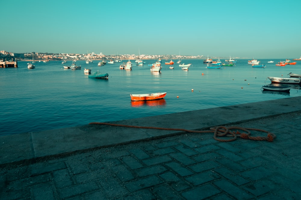 a body of water filled with lots of boats