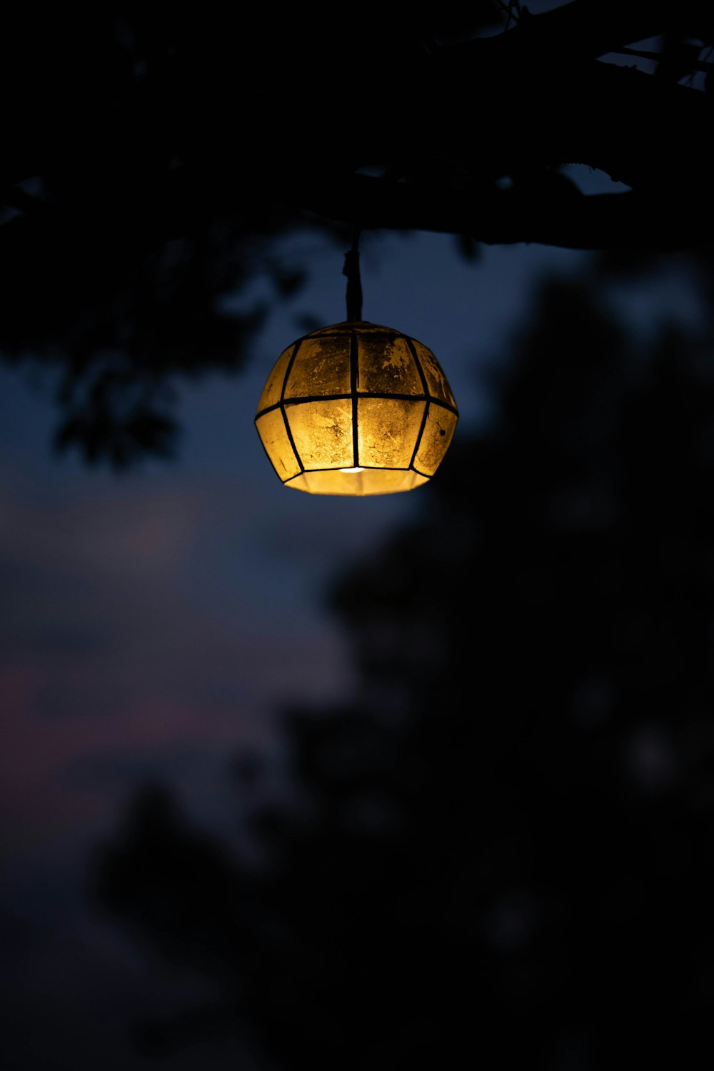 a lantern hanging from a tree at night