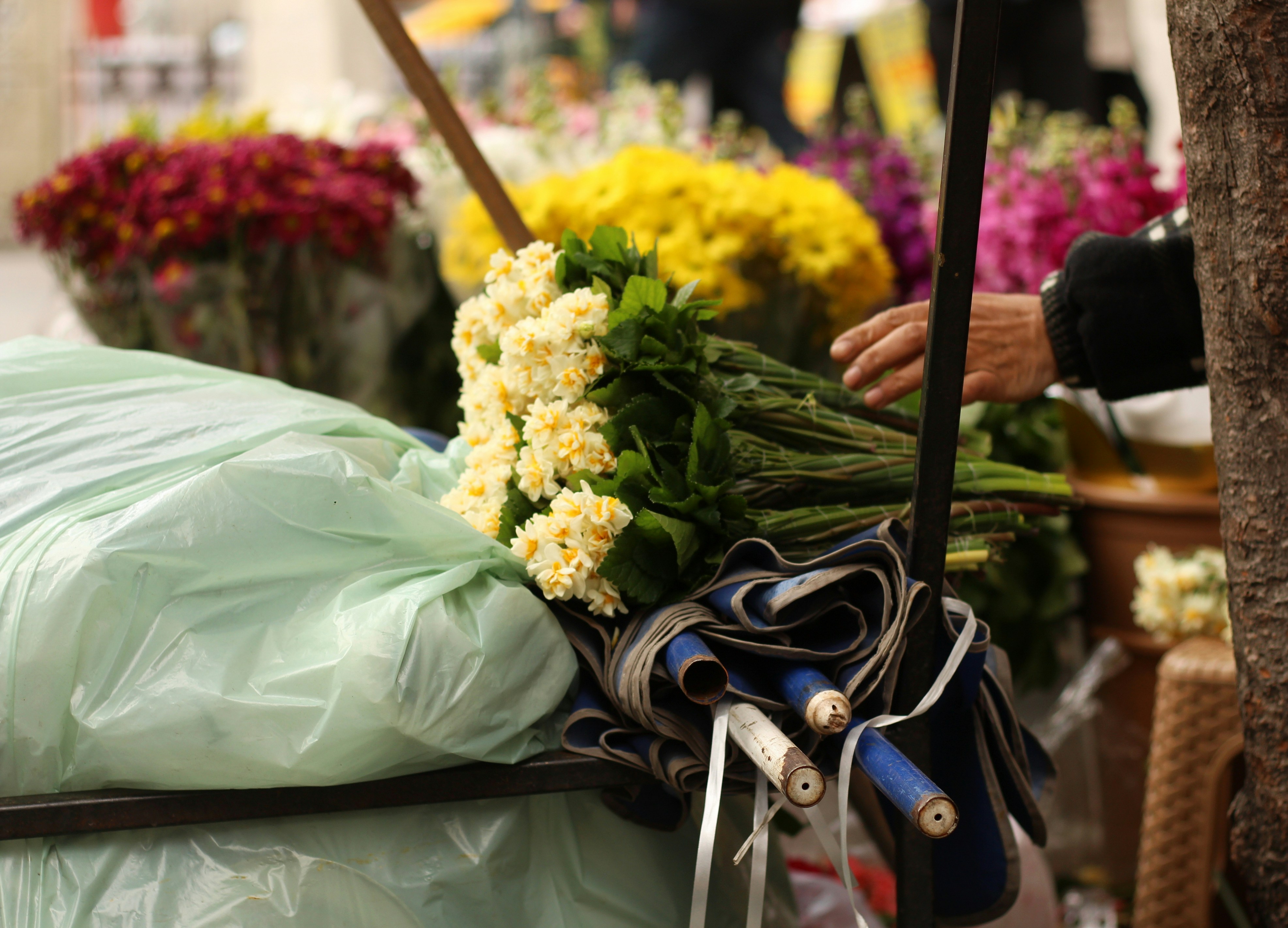 Blumenlieferung wird übergeben