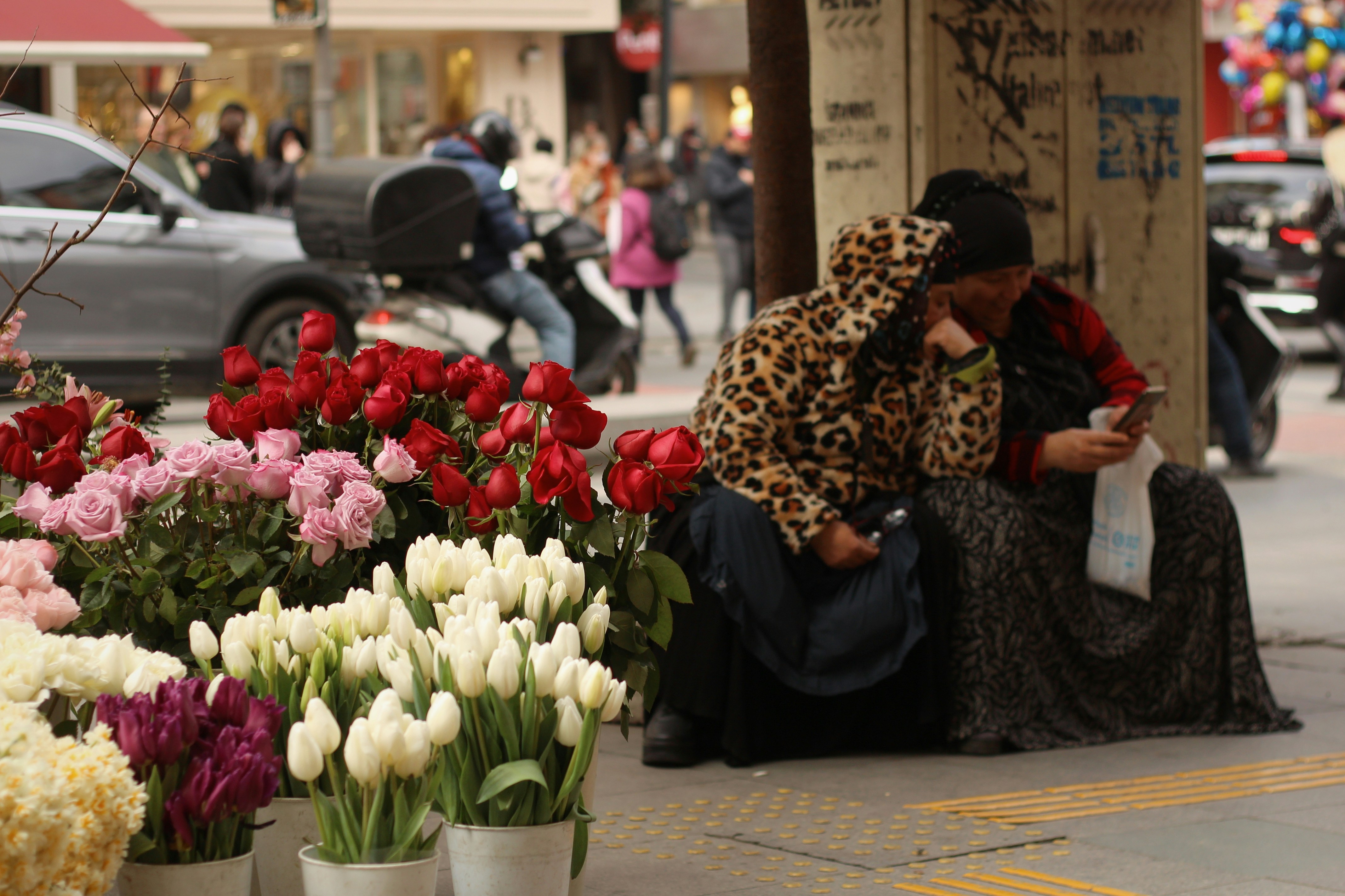 Photo by nagihanglmz