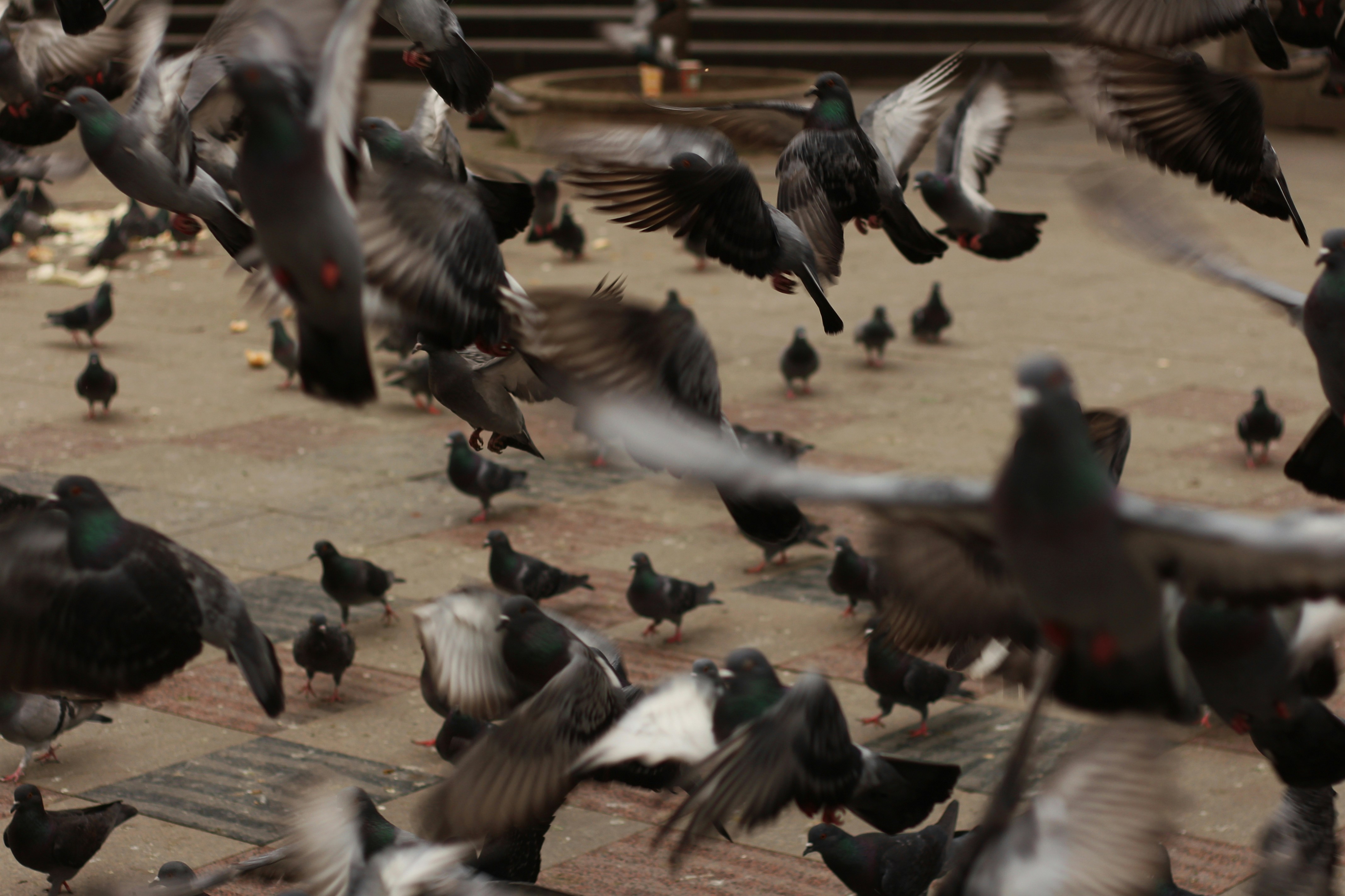 Photo by nagihanglmz