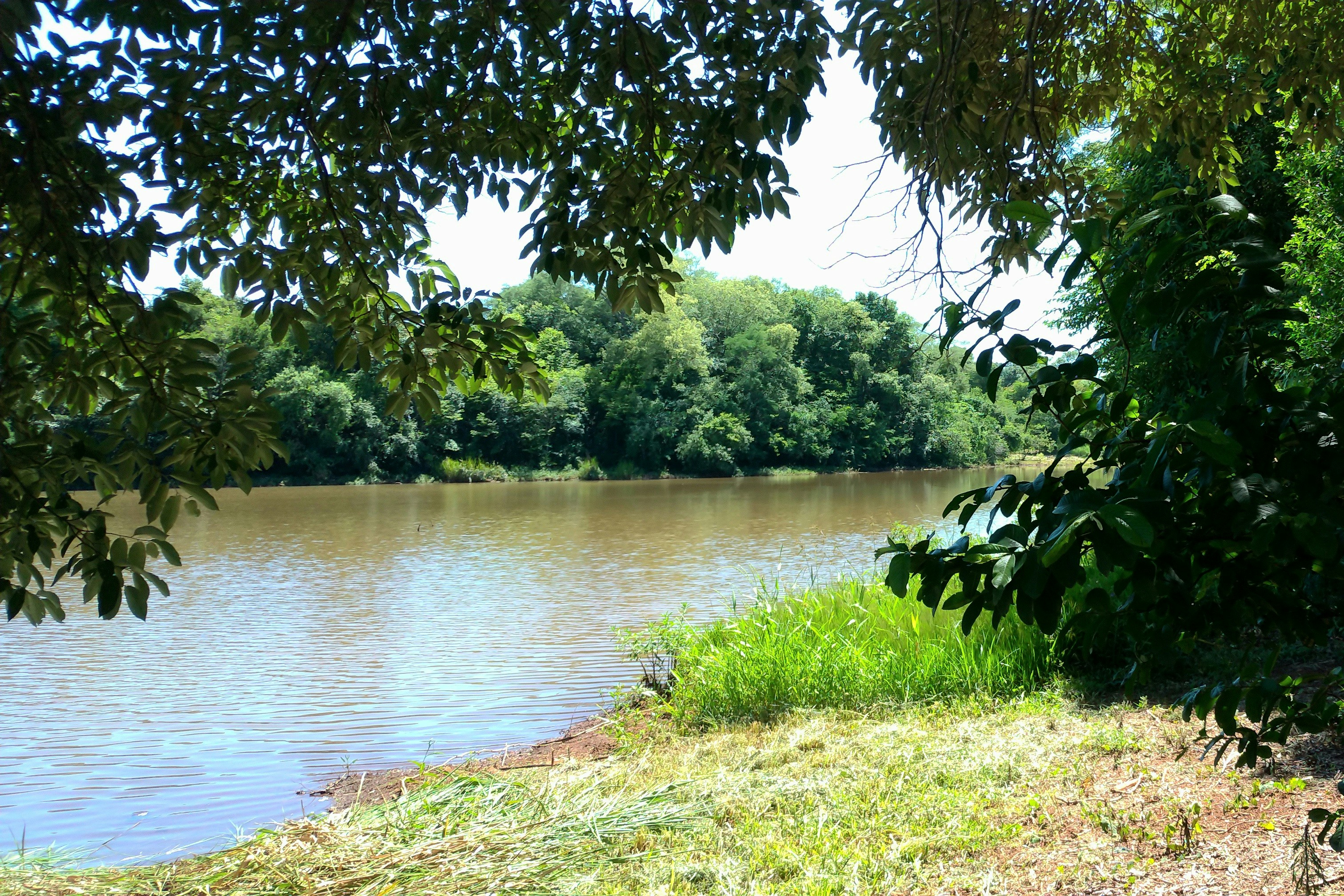 Avon Lake Lunch Menu