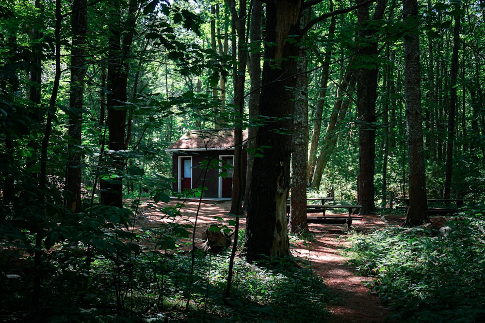 a small cabin in the middle of a forest