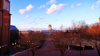a view of a clock tower in the distance