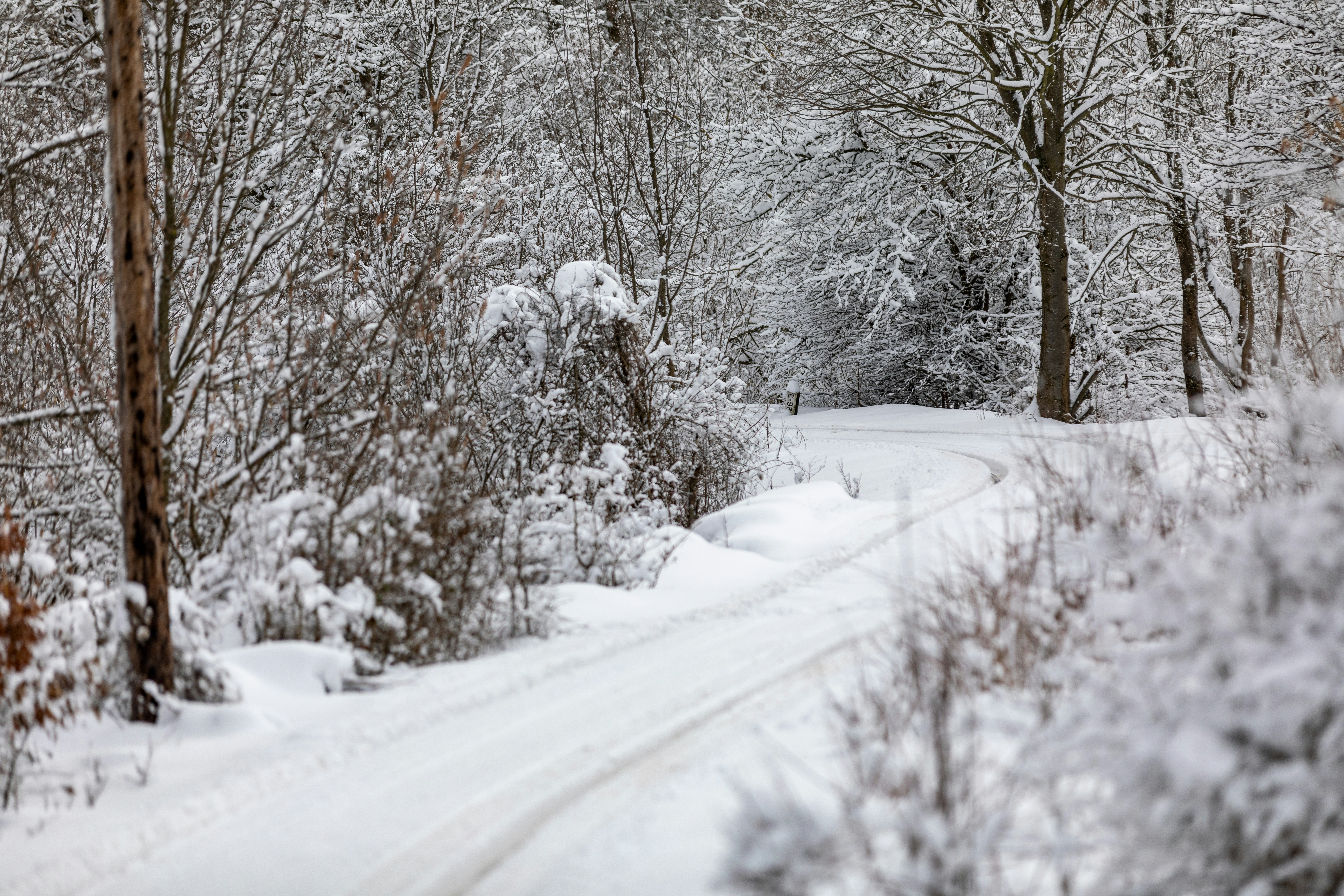 Photo by ovidiugruescu