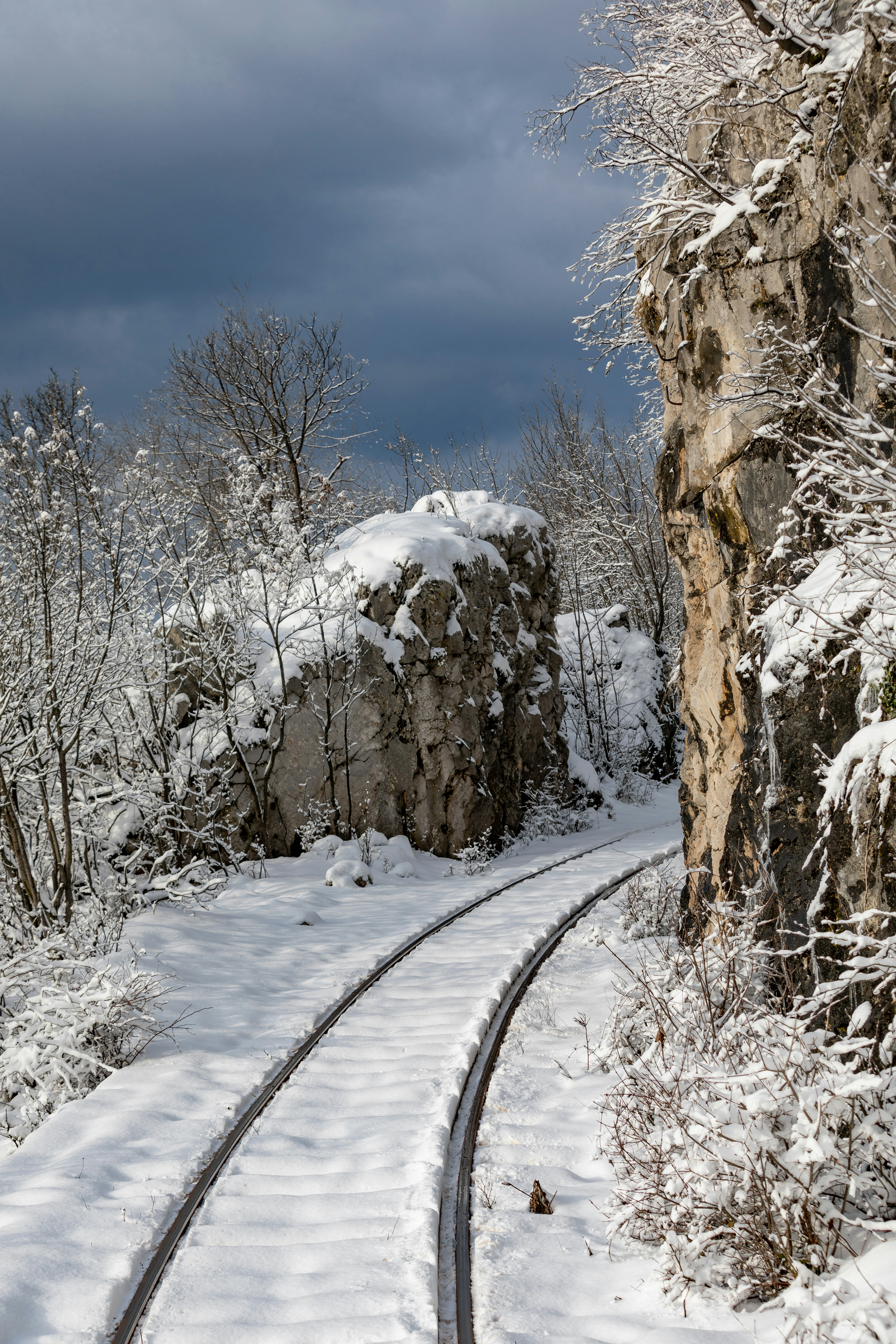 Photo by ovidiugruescu