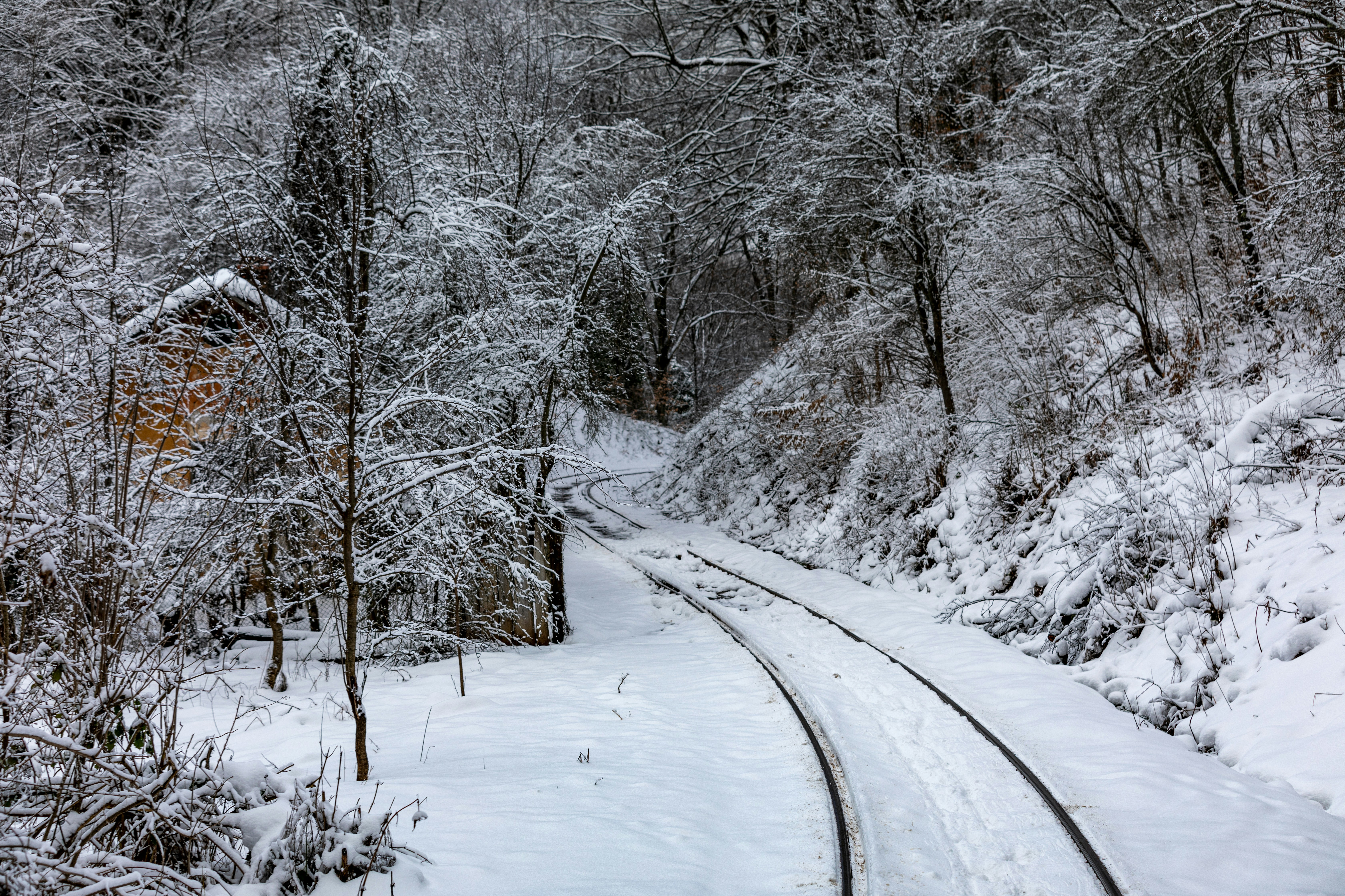 Photo by ovidiugruescu