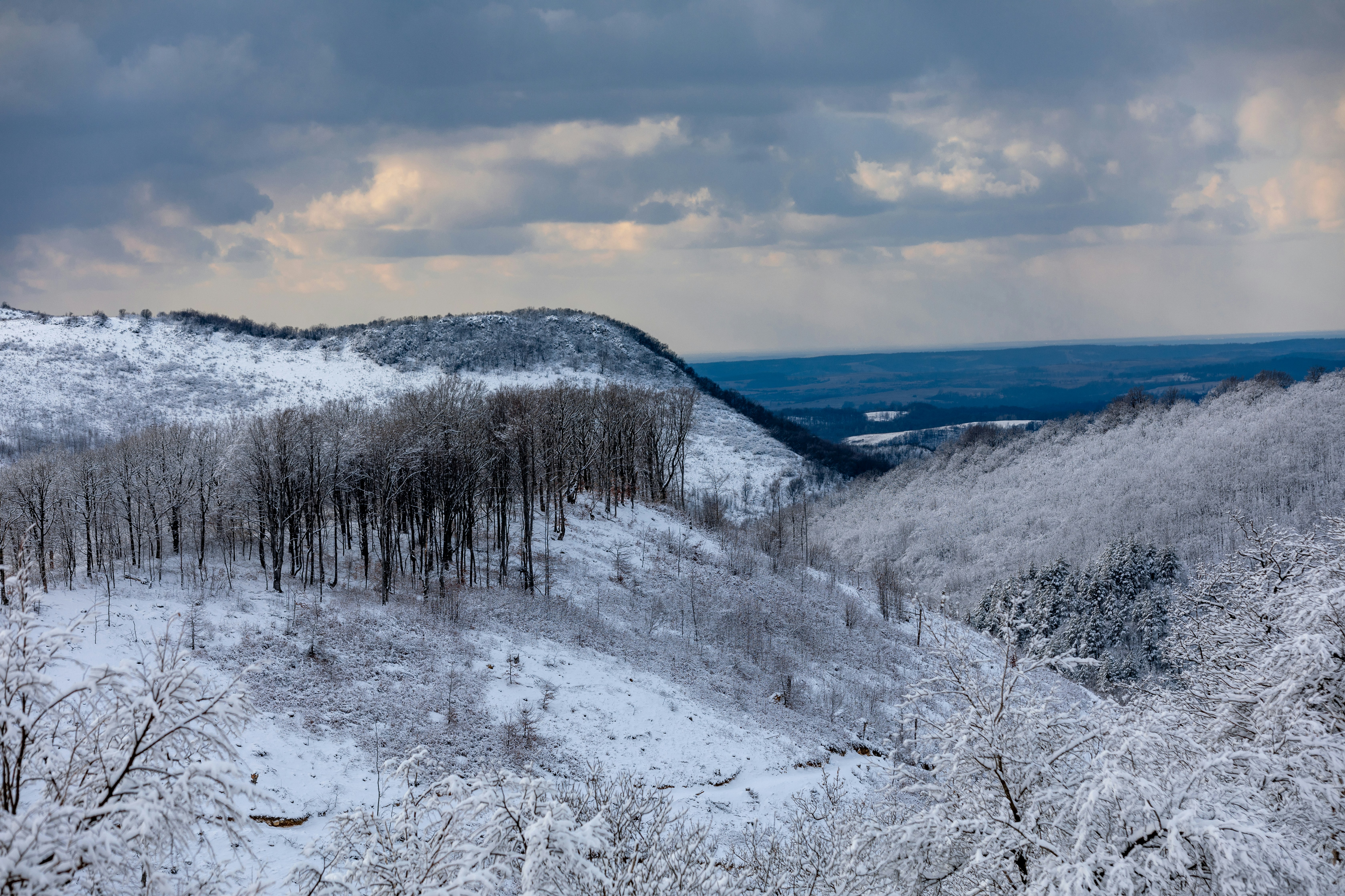 Photo by ovidiugruescu