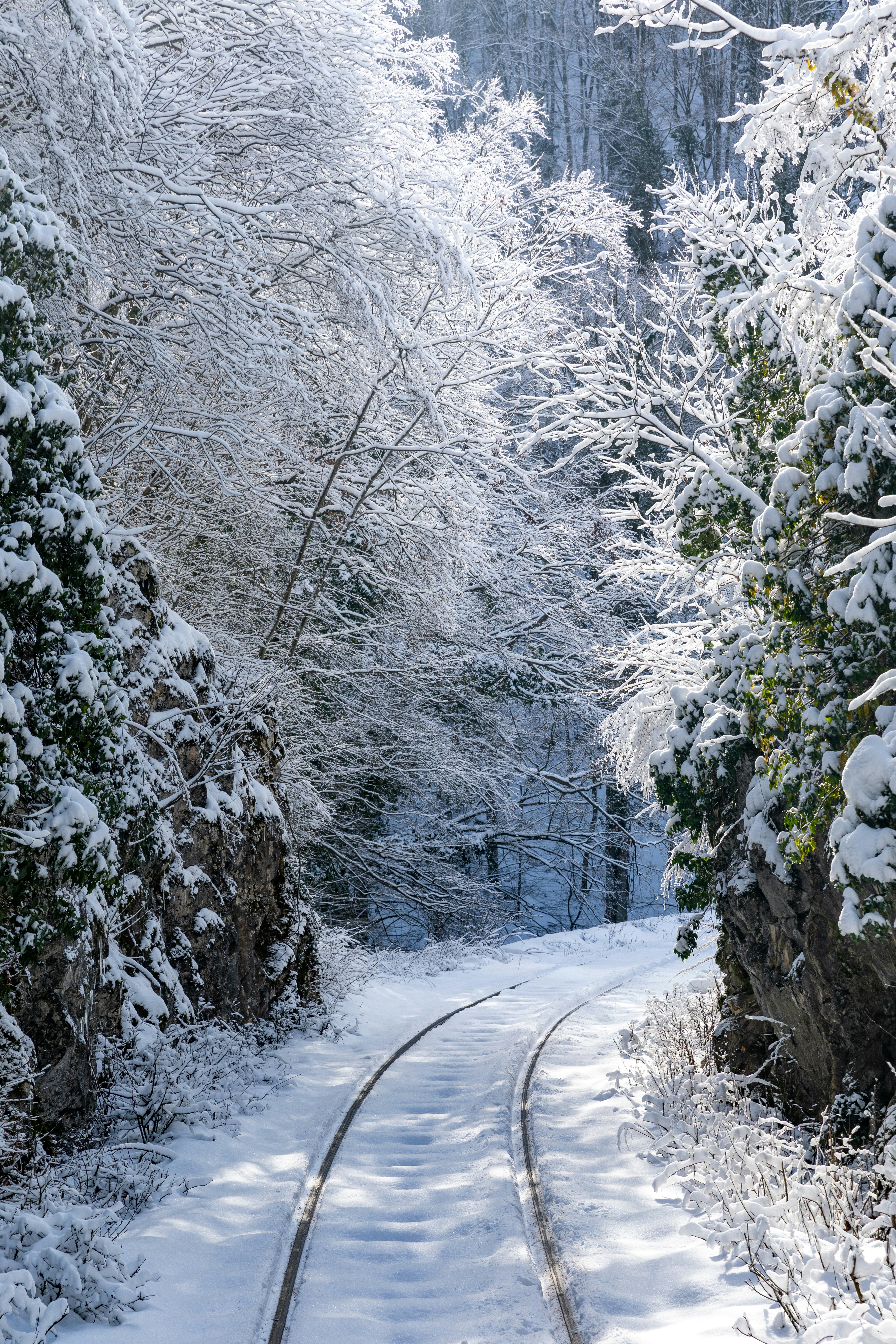 Photo by ovidiugruescu