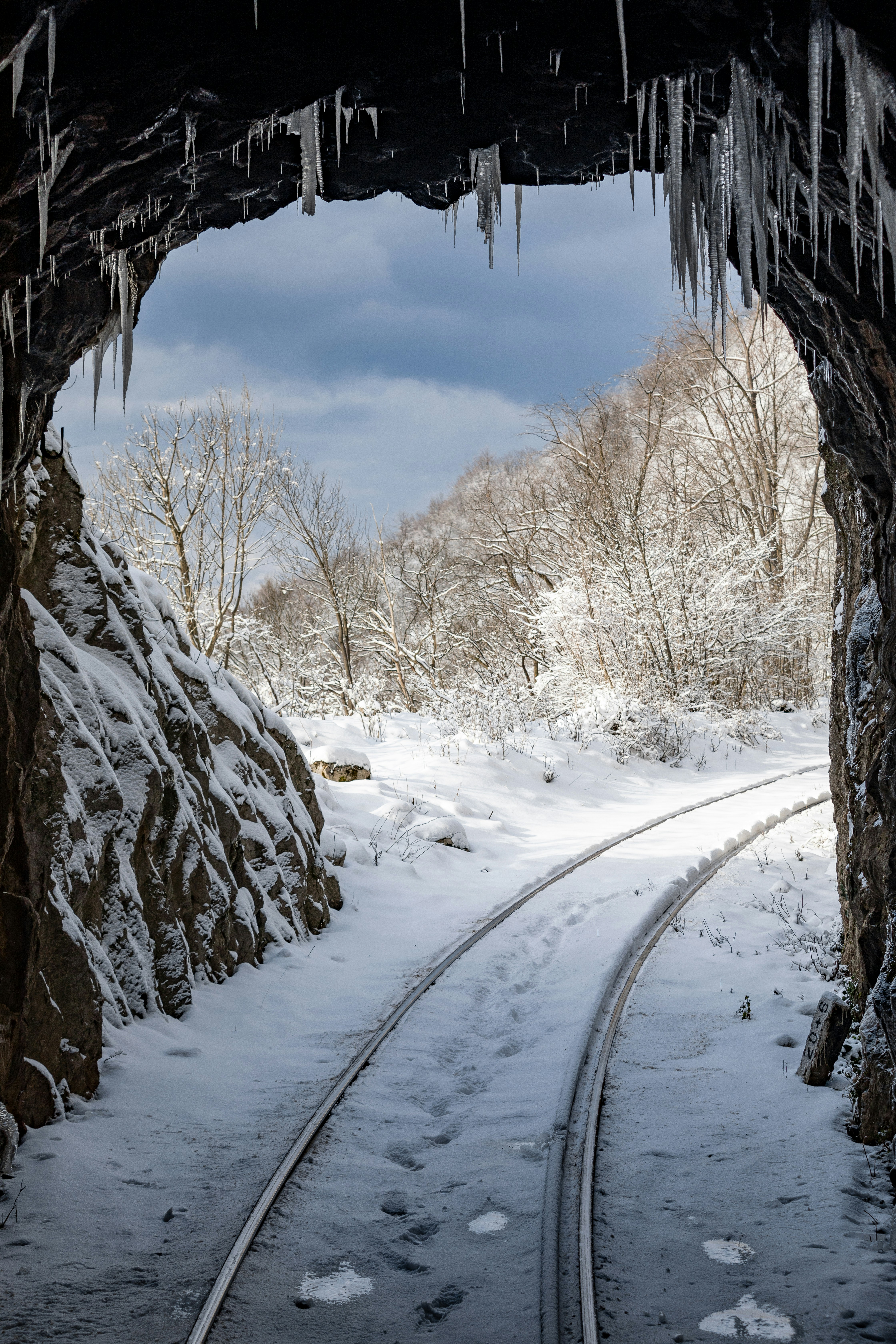 Photo by ovidiugruescu