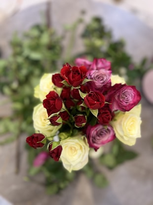 A bouquet of roses in full bloom with a mix of red, pink, and white flowers. The roses are tightly arranged, showcasing their vibrant colors and lush petals against a blurred green background.