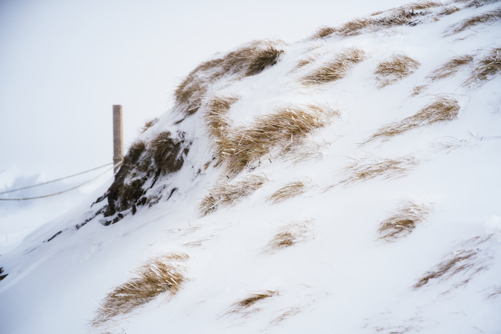 a snow covered hill with a fence in the background