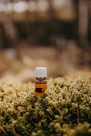 a bottle of essential oil sitting on a mossy surface