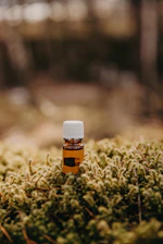 Close-up of a 30ml bottle of green propolis extract with dropper against a natural forest background.
